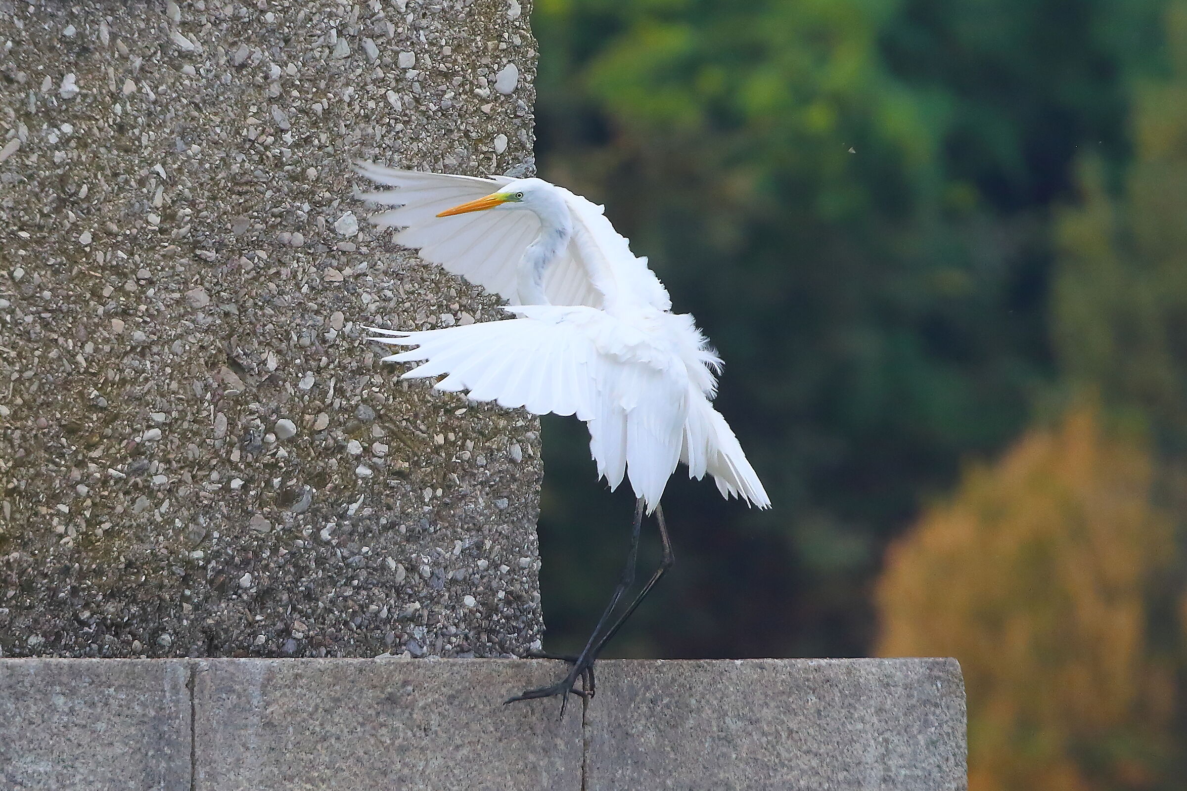 ABM 09 settembre 2025 - 0213