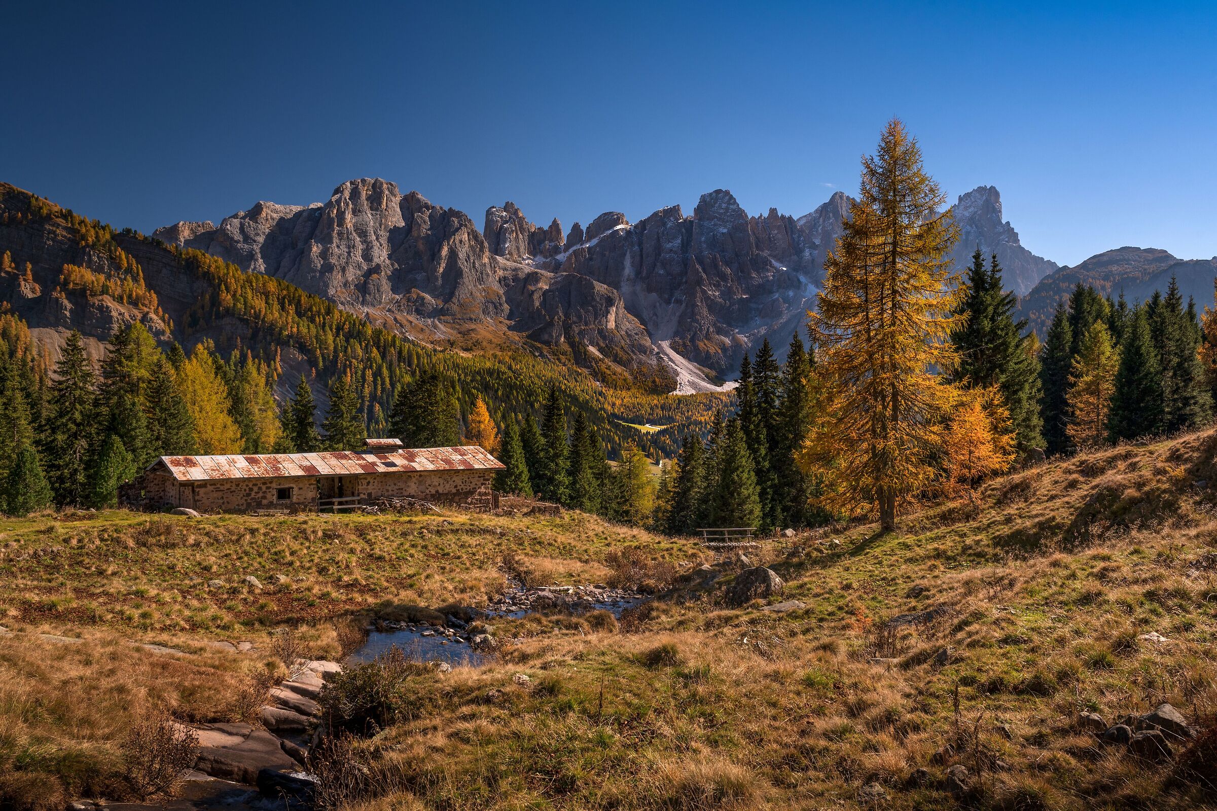 The colors of autumn