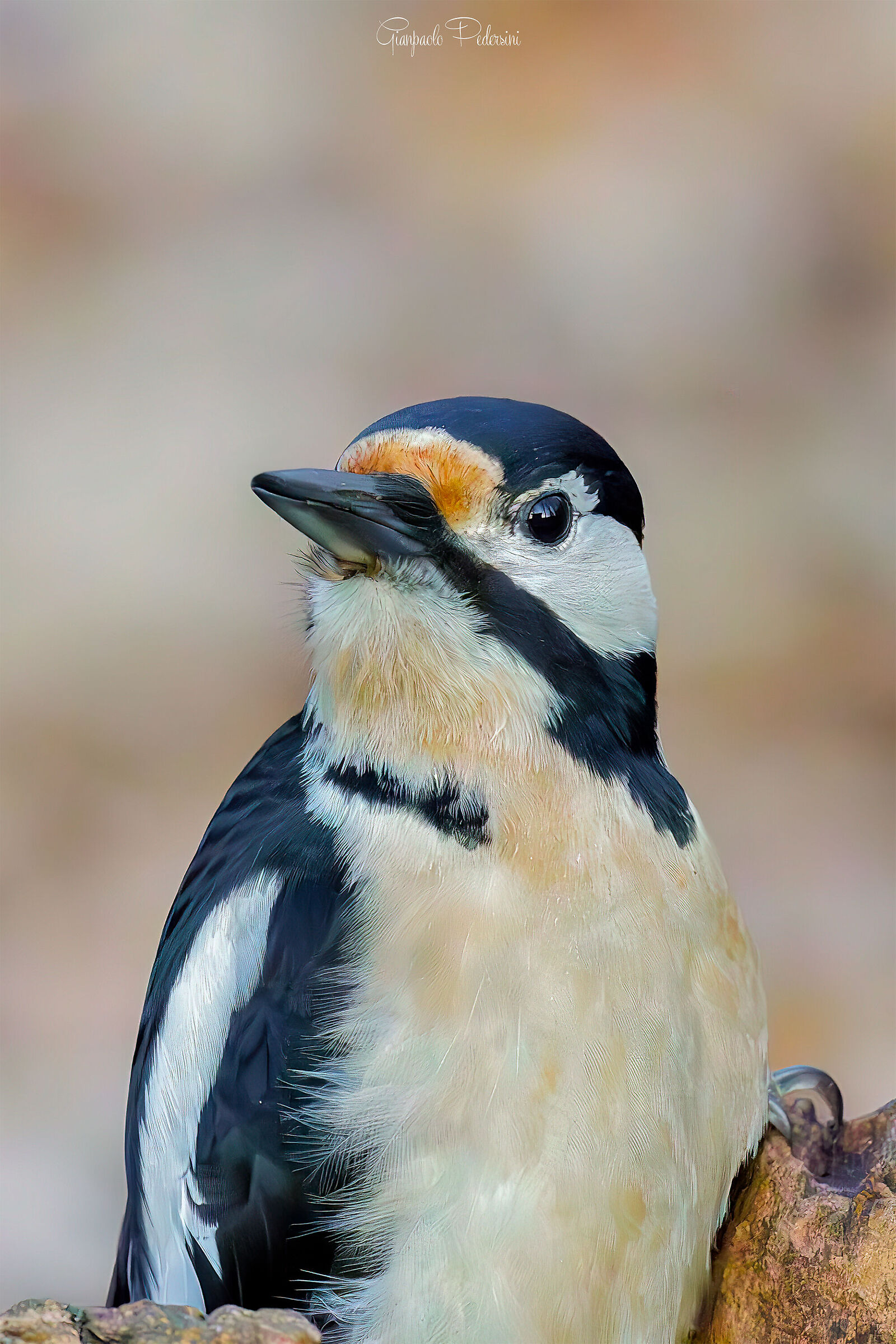 ISO 51.200