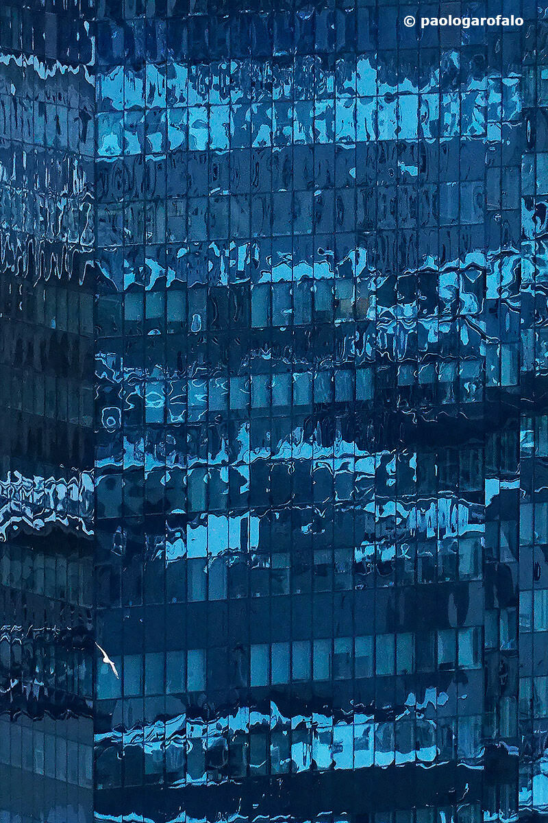 Flying in the blue (La libertà di volare)