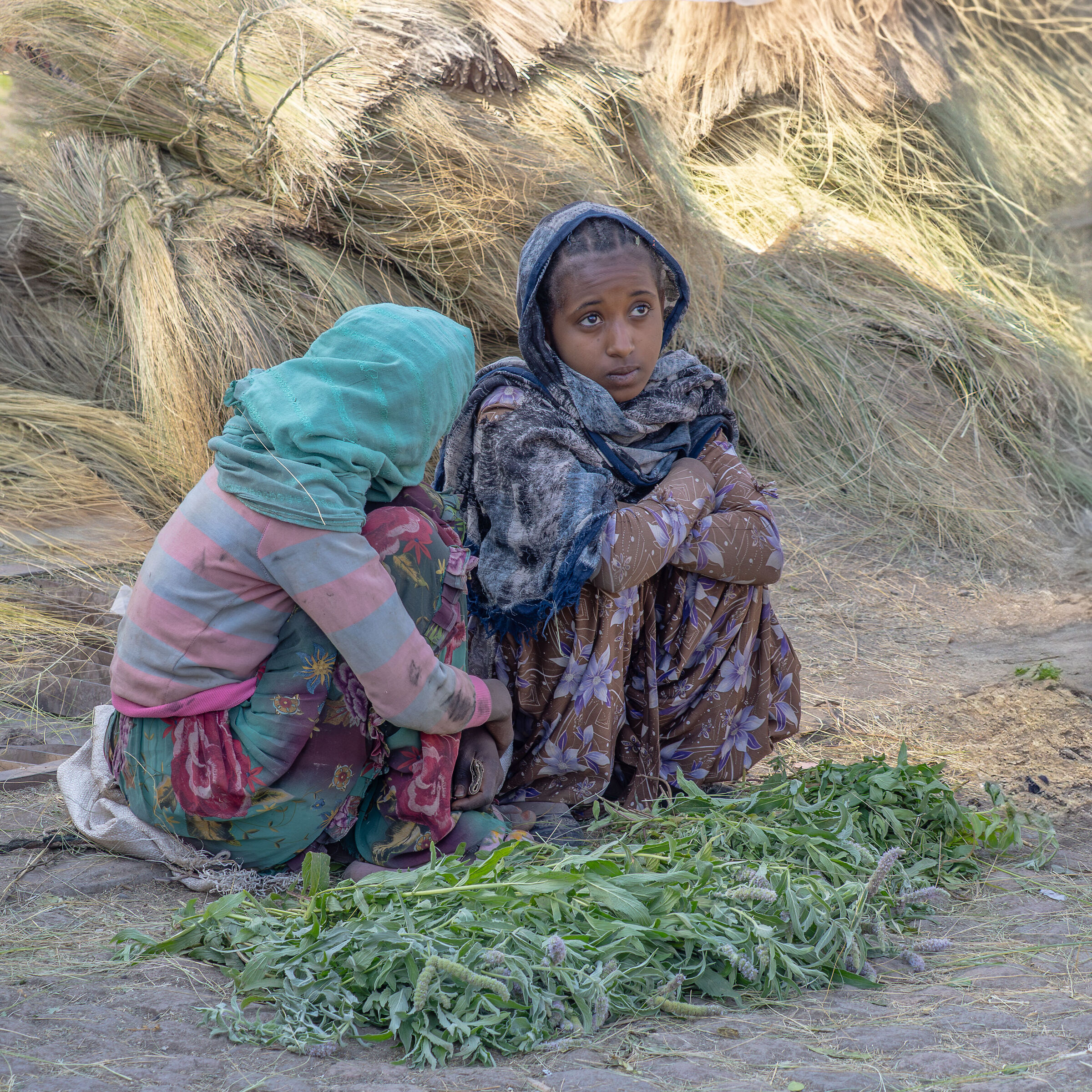 Grass sellers... budding!