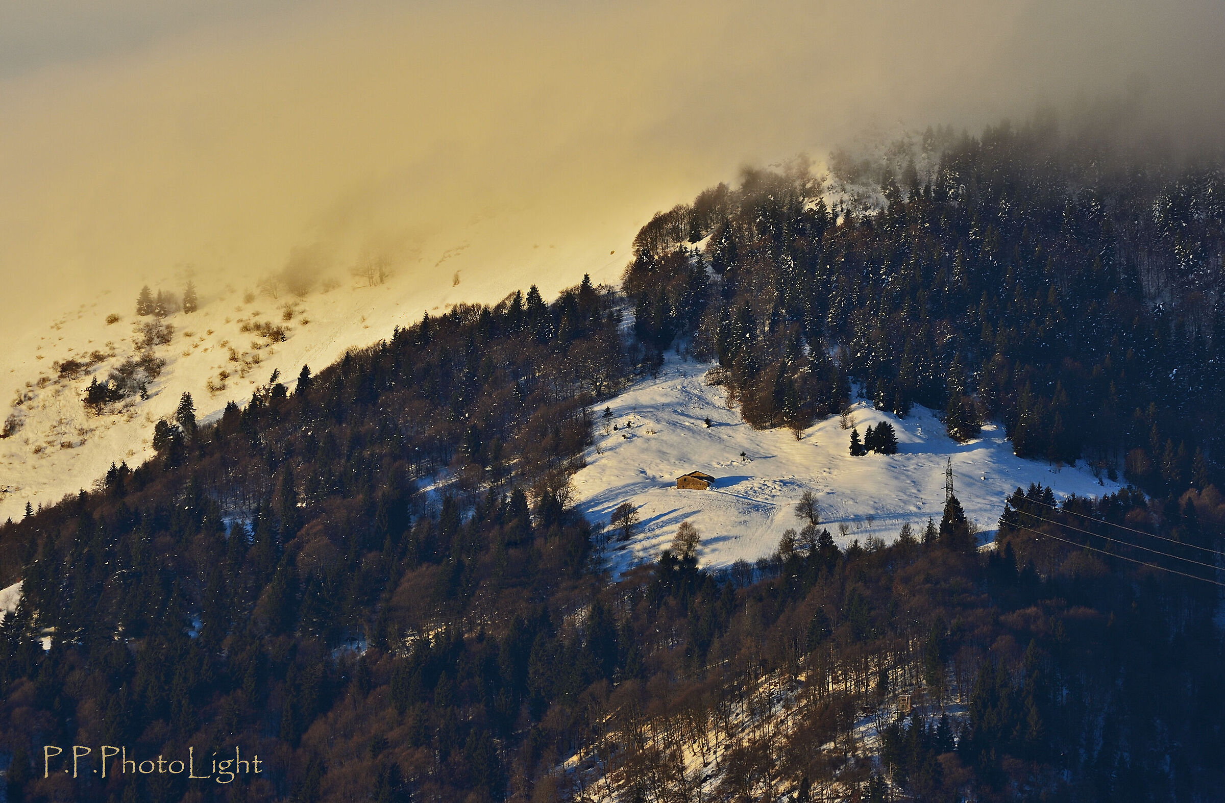 Morning Landscape with Cabin