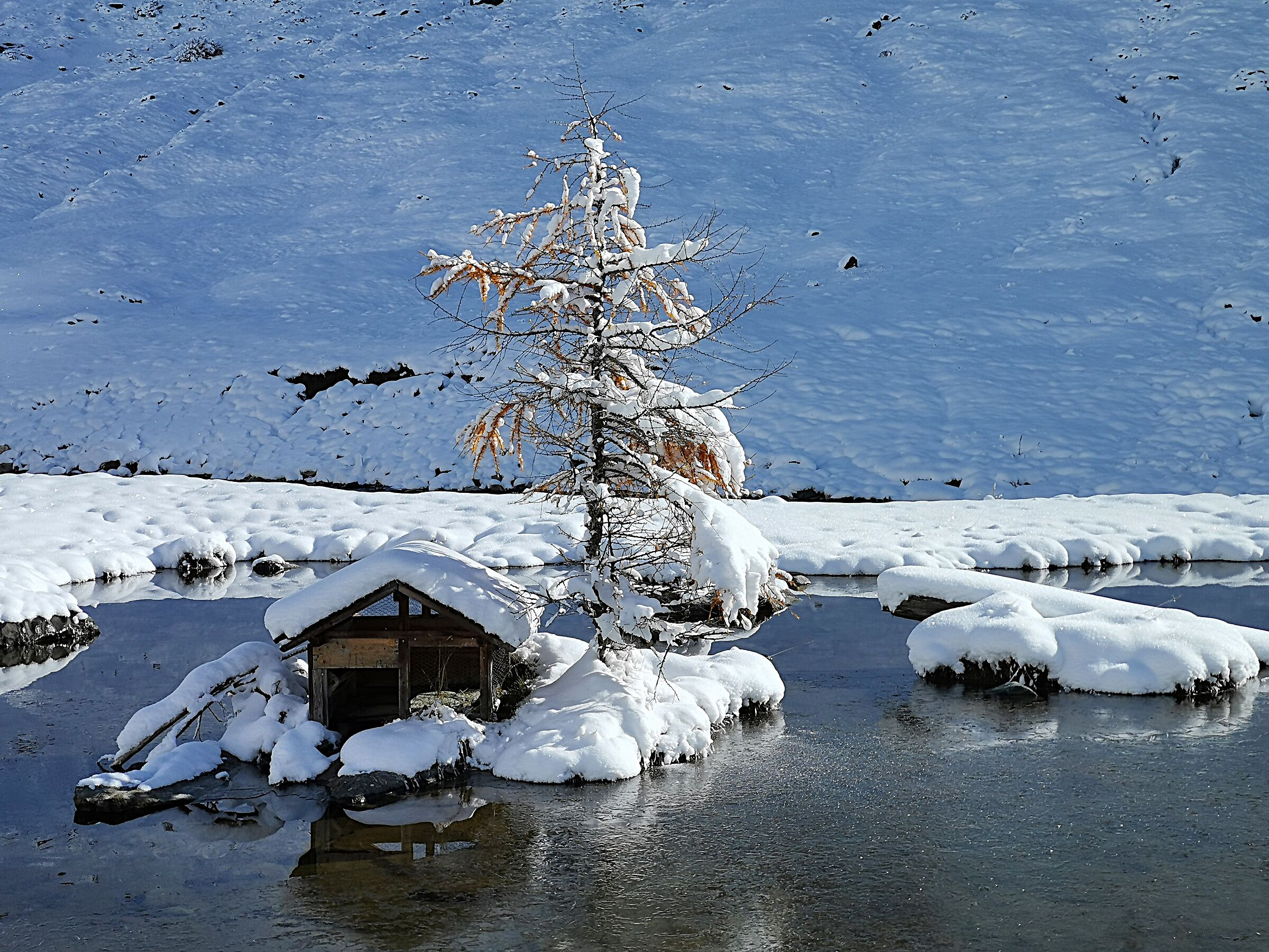 L'inverno e le sue sfumature in bianco.