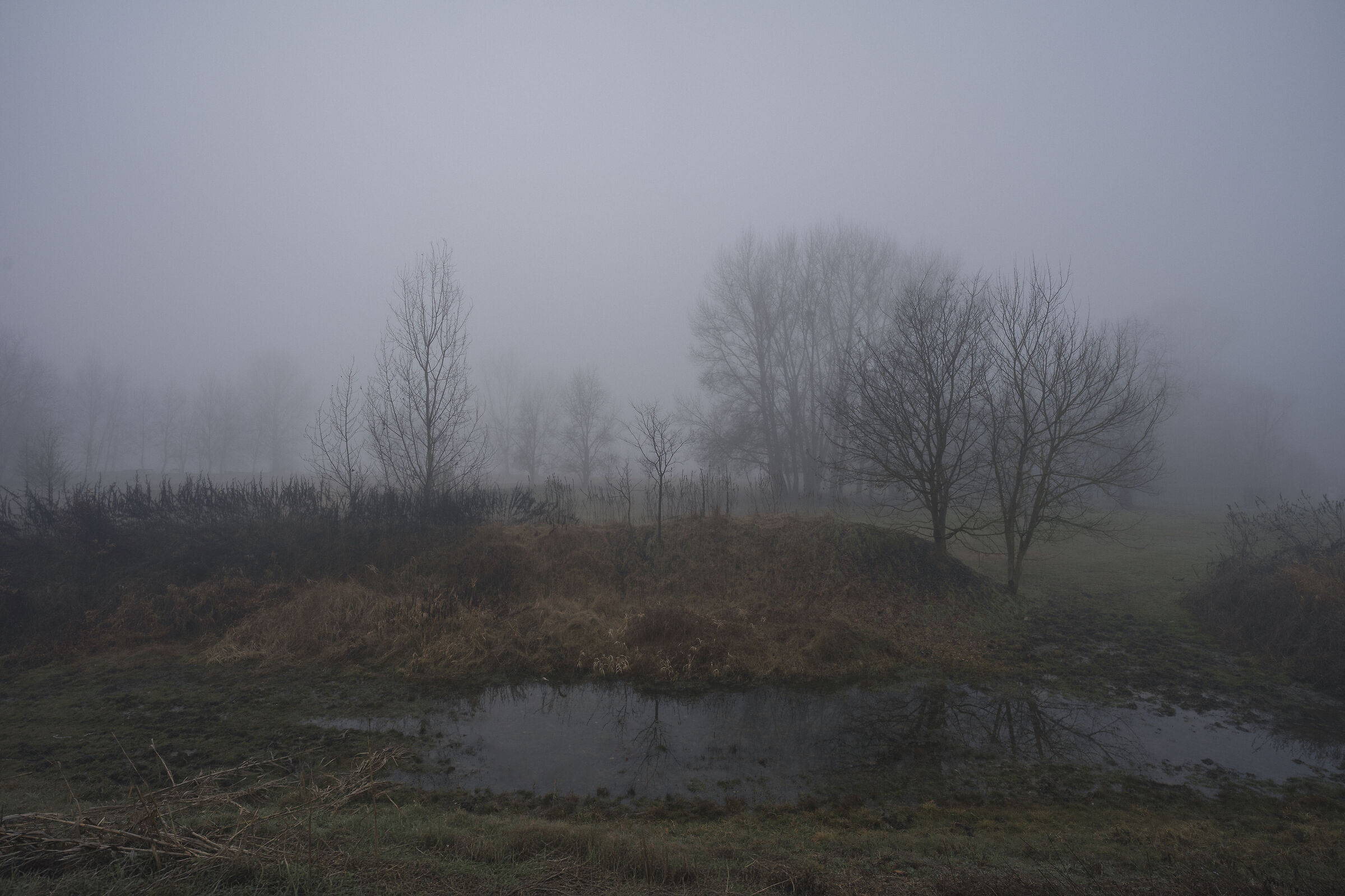 In the breath of the fog