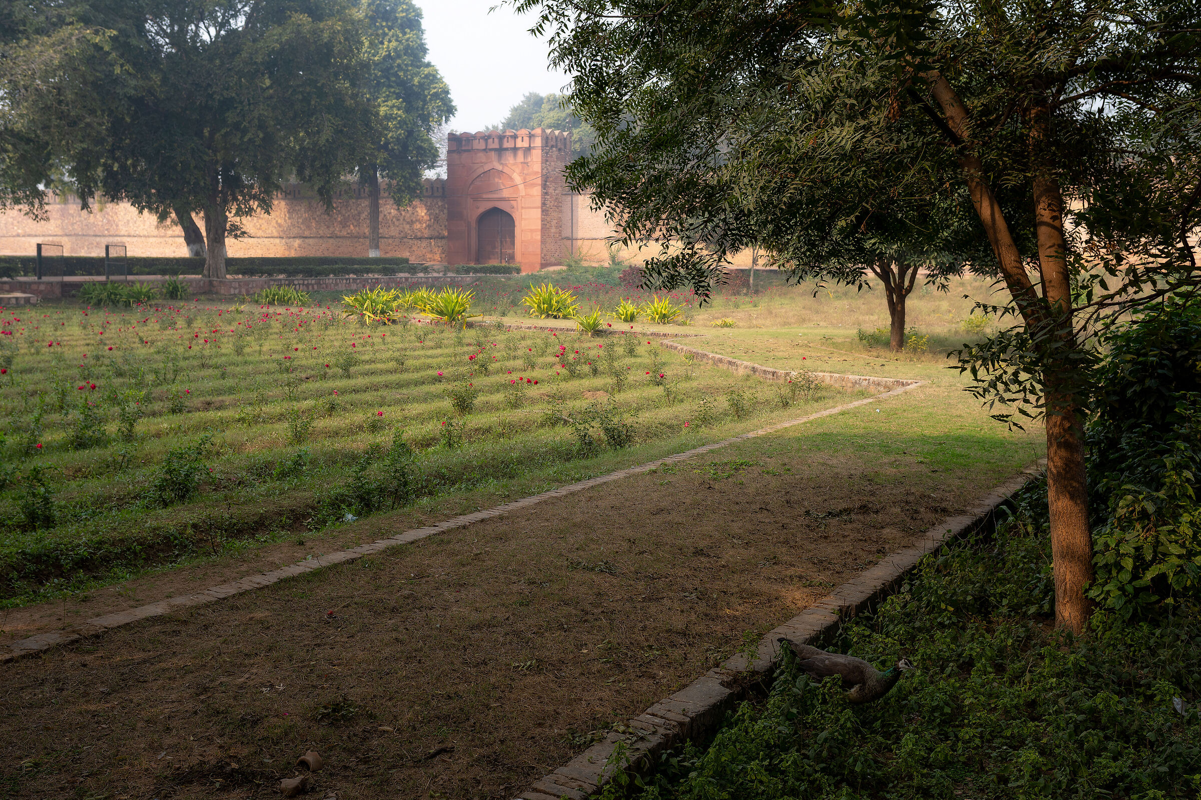 Akbar Park