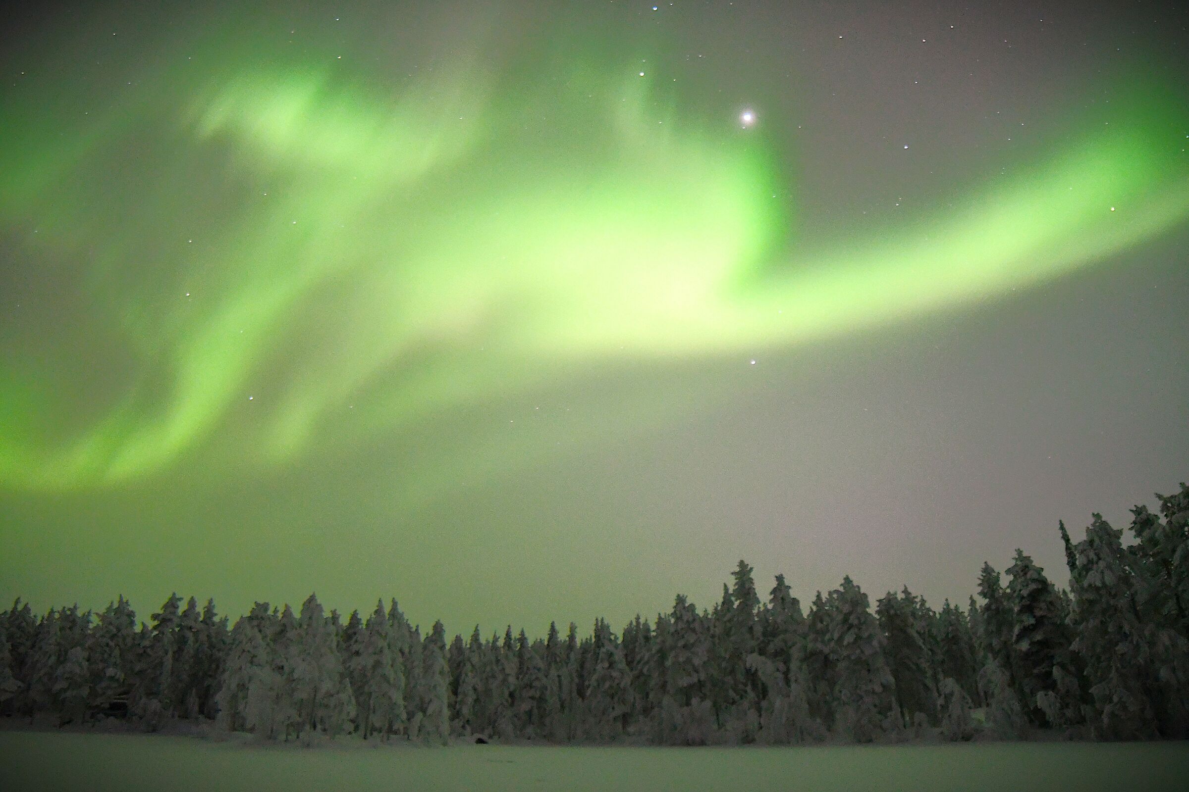 Aurora boreale