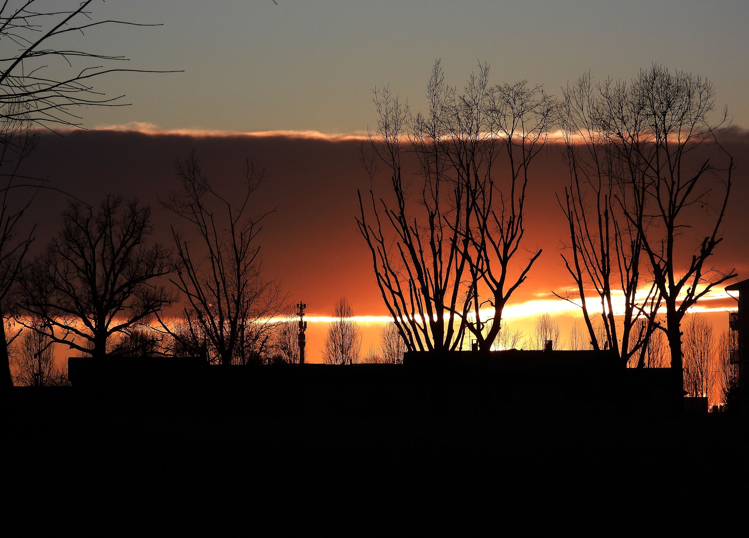 Untitled Photo