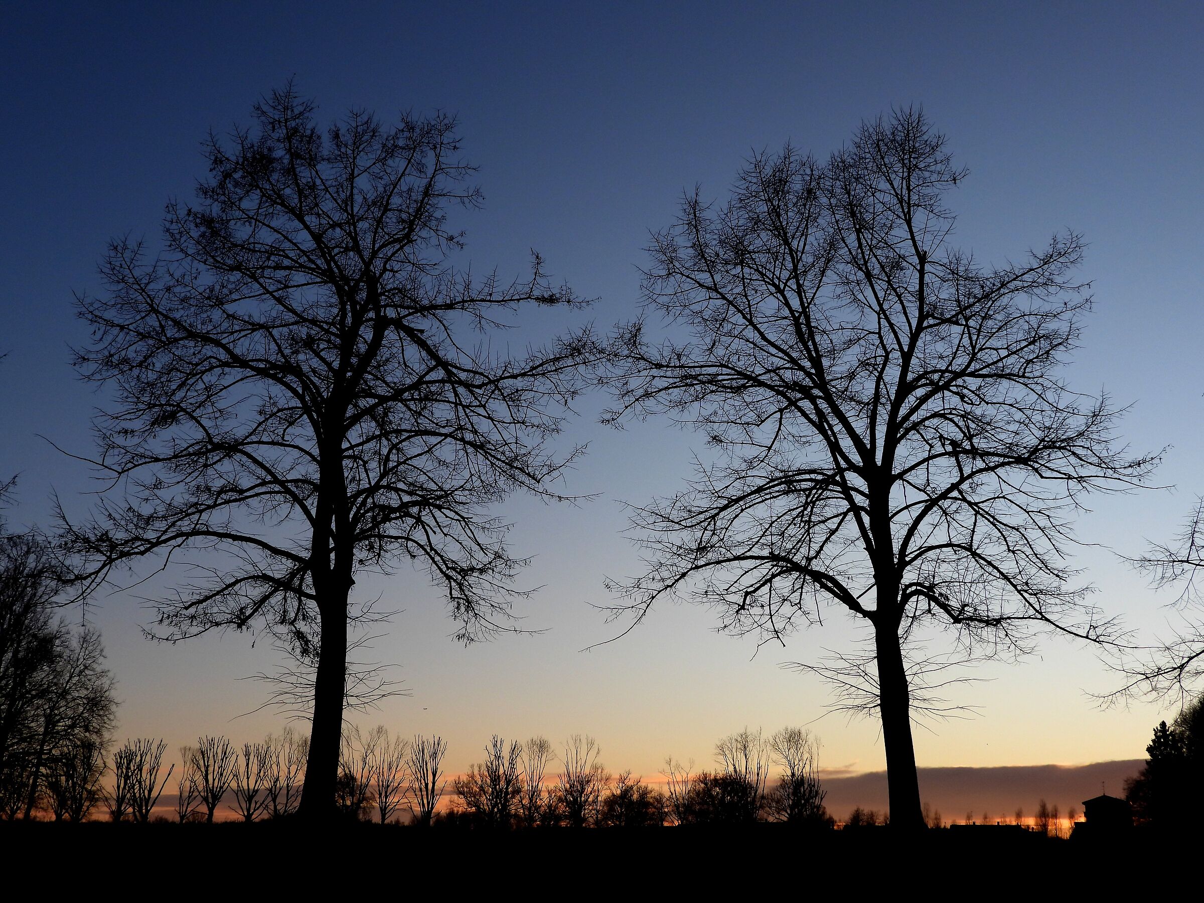 Untitled Photo