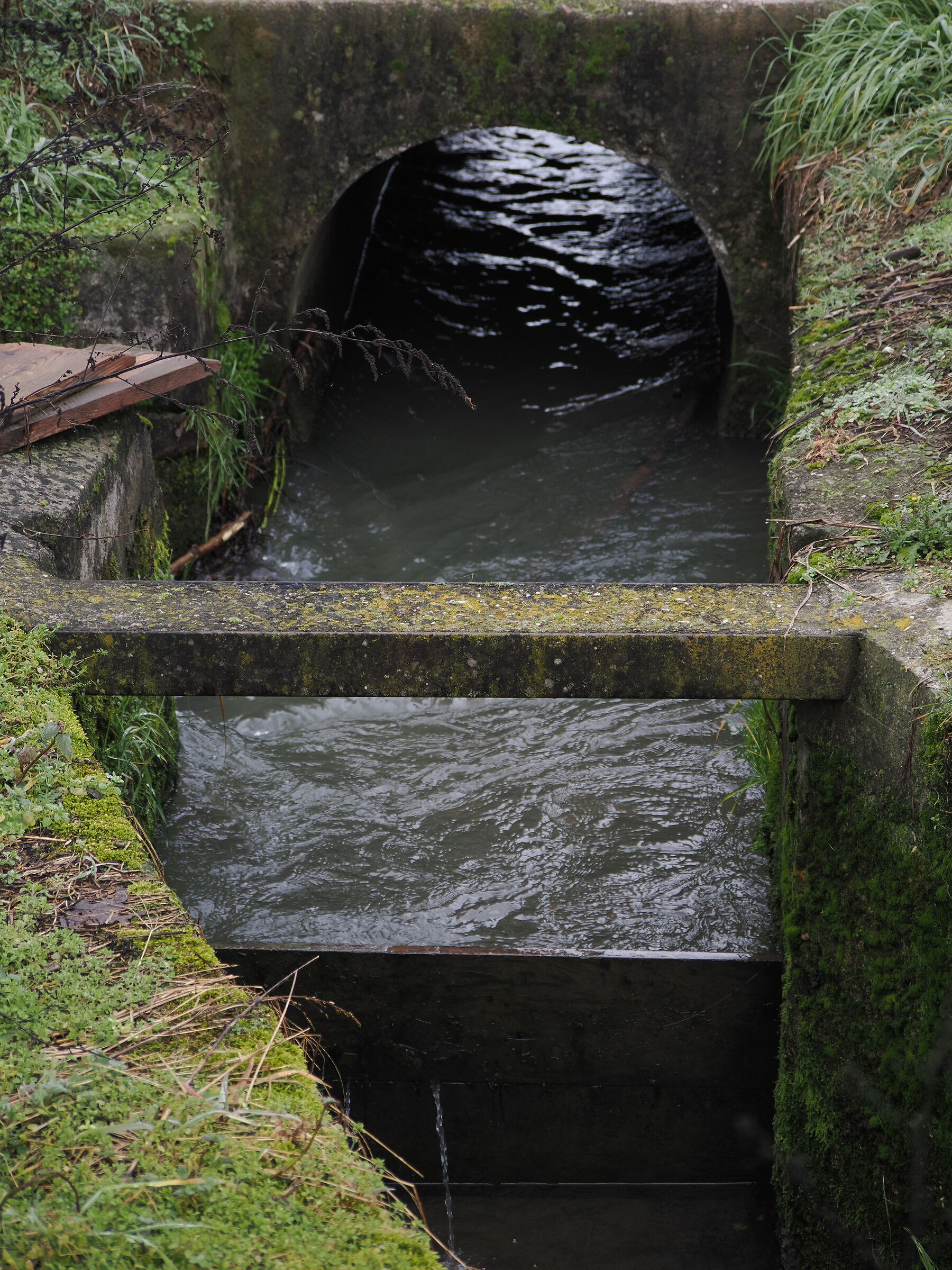 Water in the ditches along the Ticino