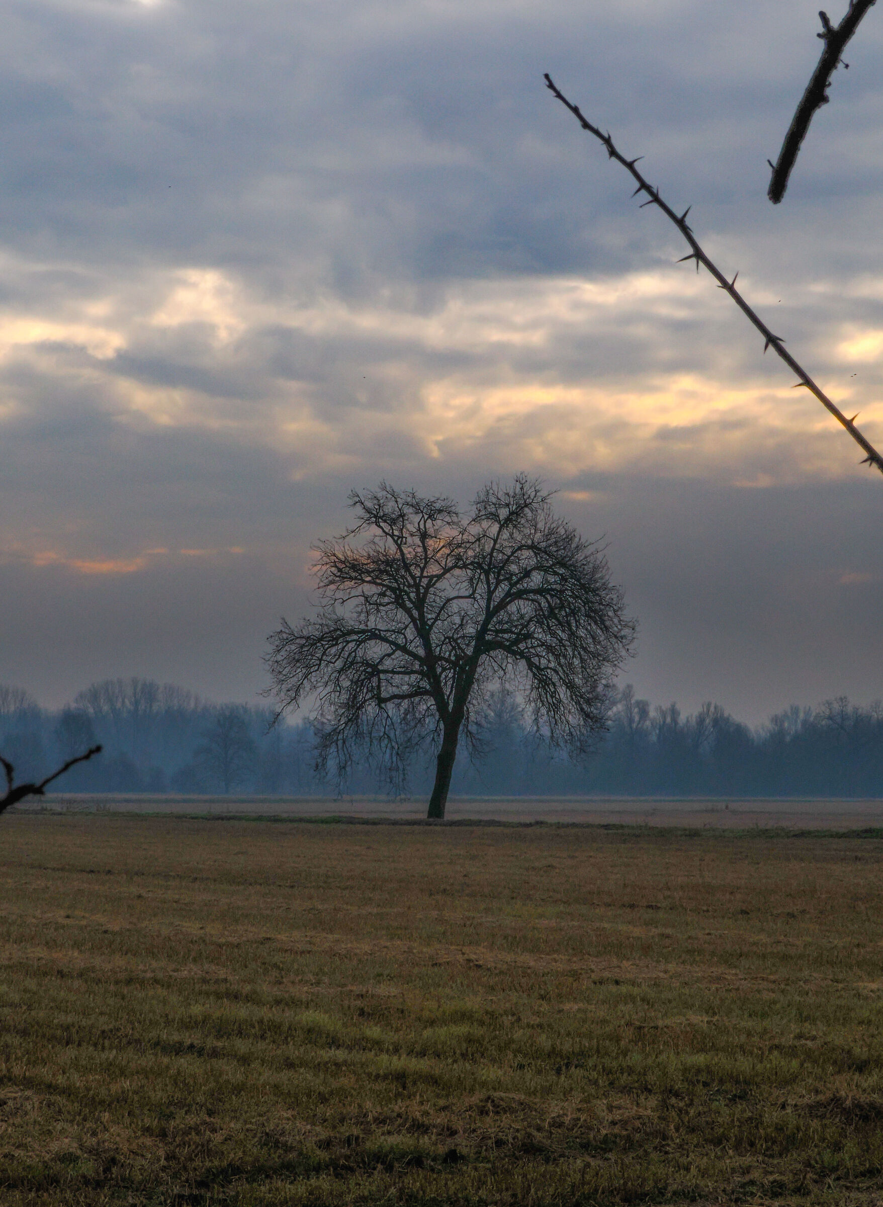River plain, February morning