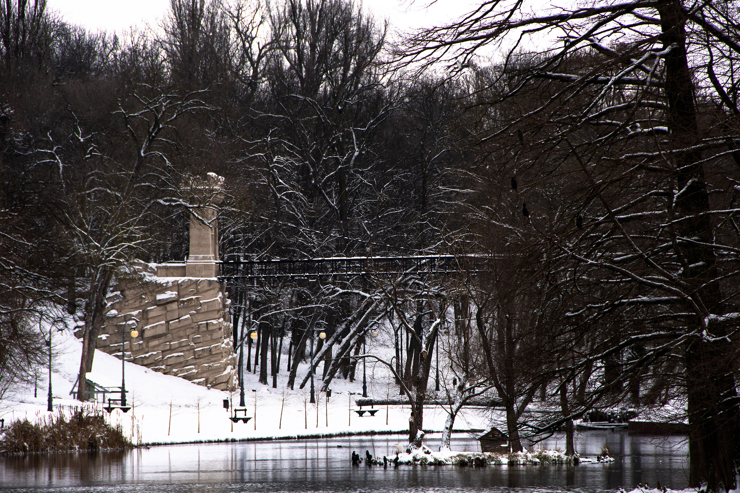Ponte sospeso nel Parco Romanescu, Craiova, Romania