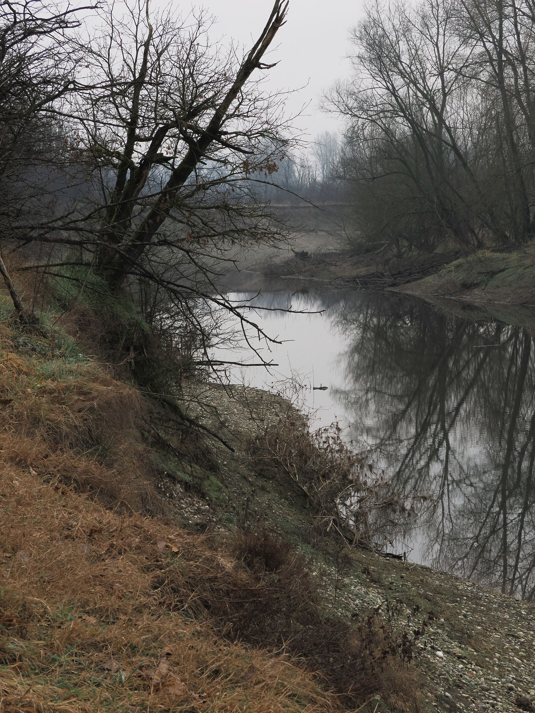 Alluvial floodplain along the Ticino