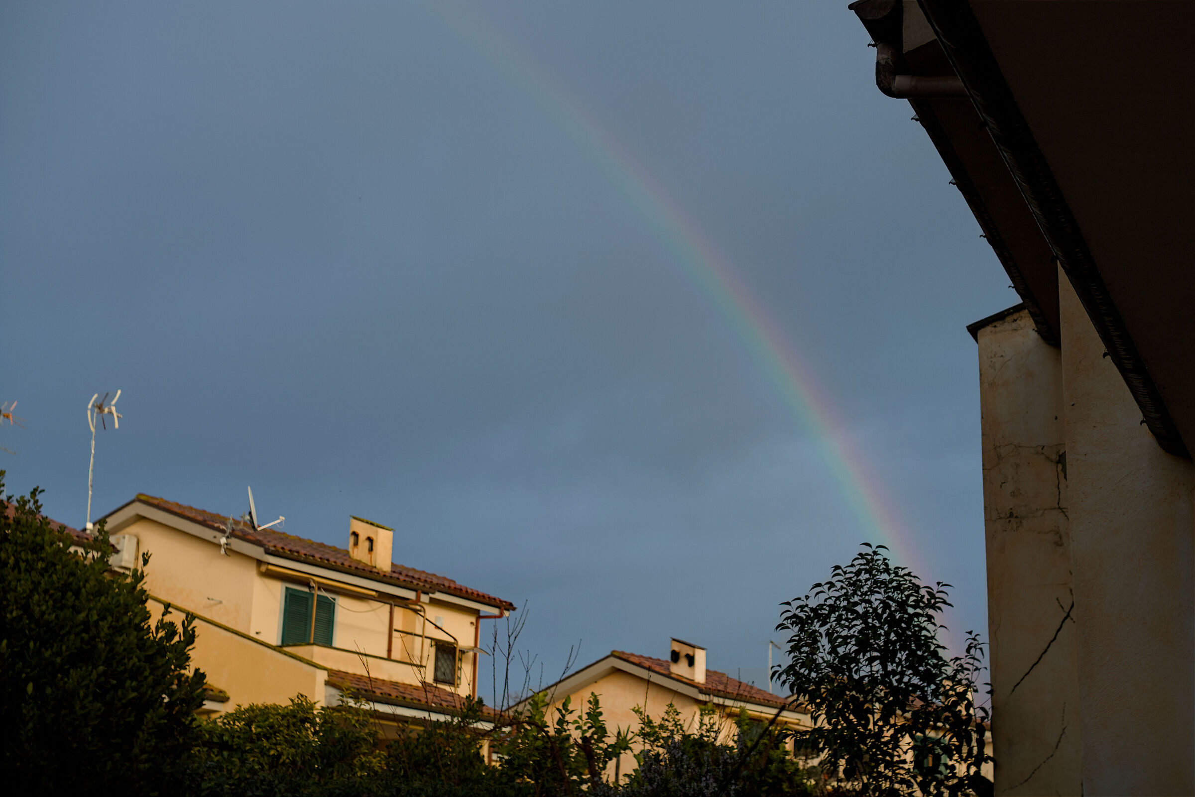 A rainbow in the garden