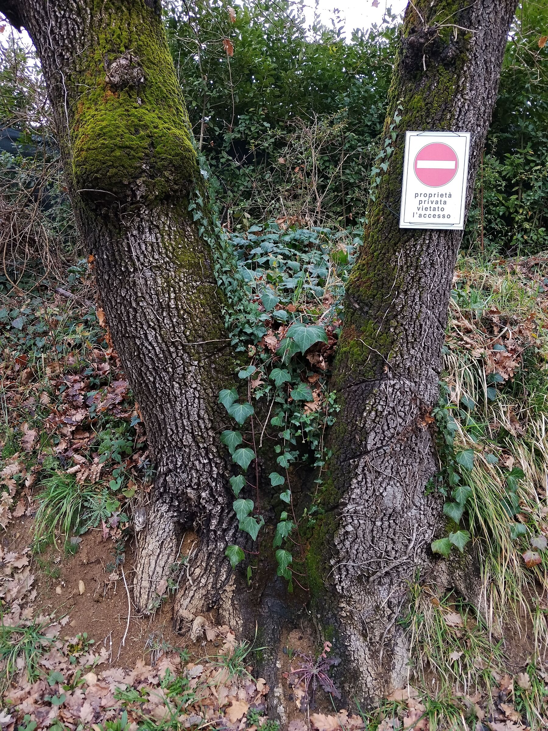 Vietato l'accesso... Dove?