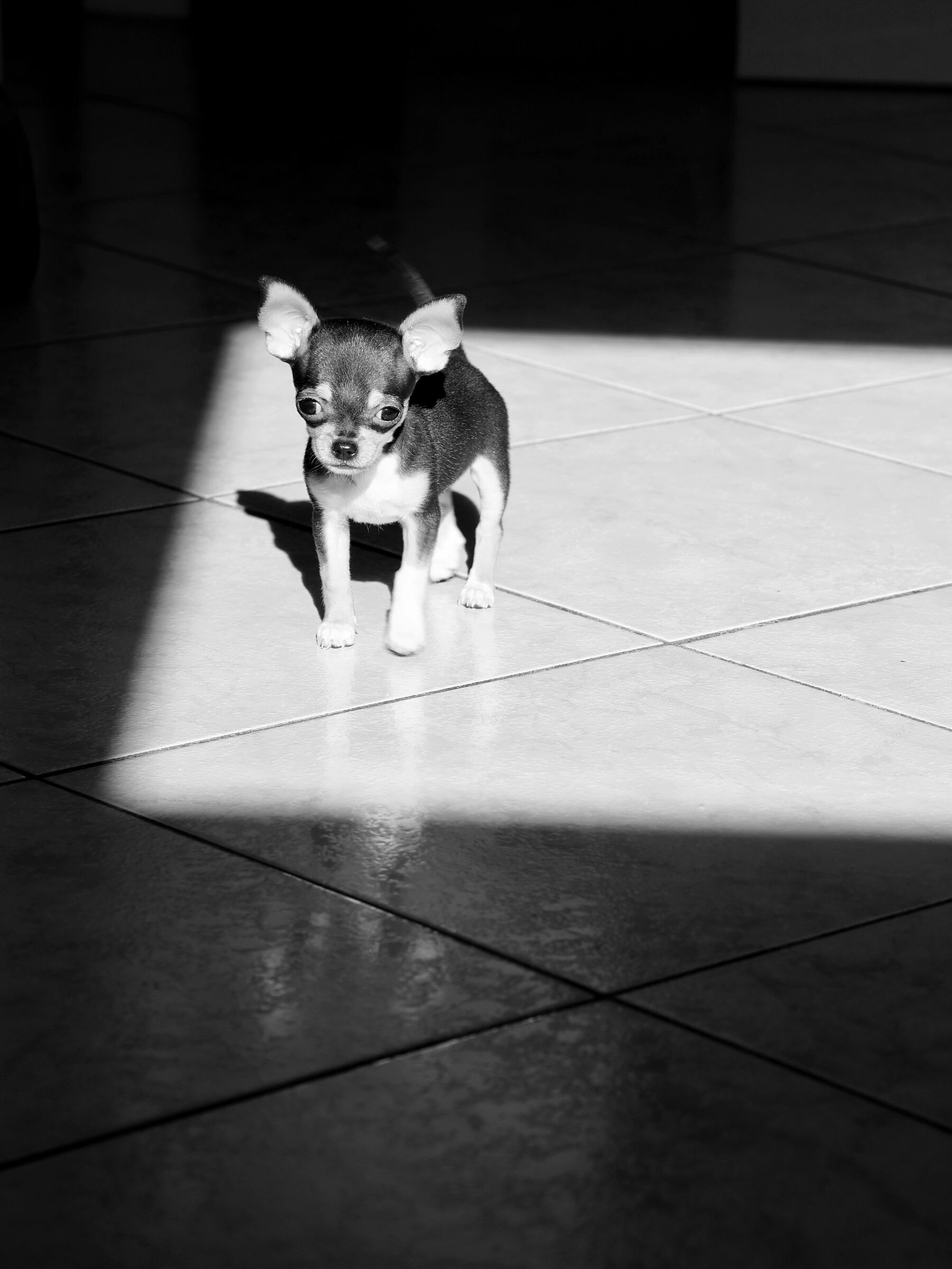 Baciata dal sole