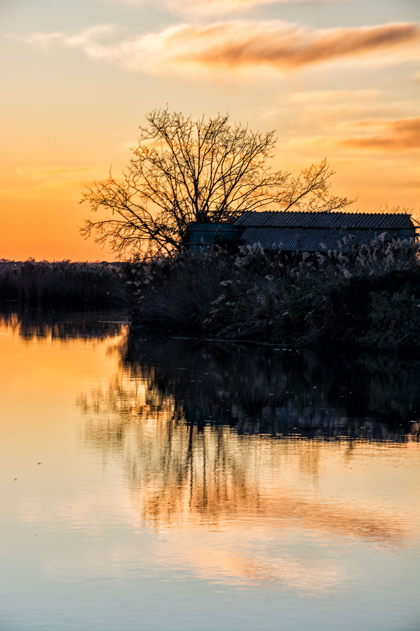 Reflections at sunset on Massaciuccoli