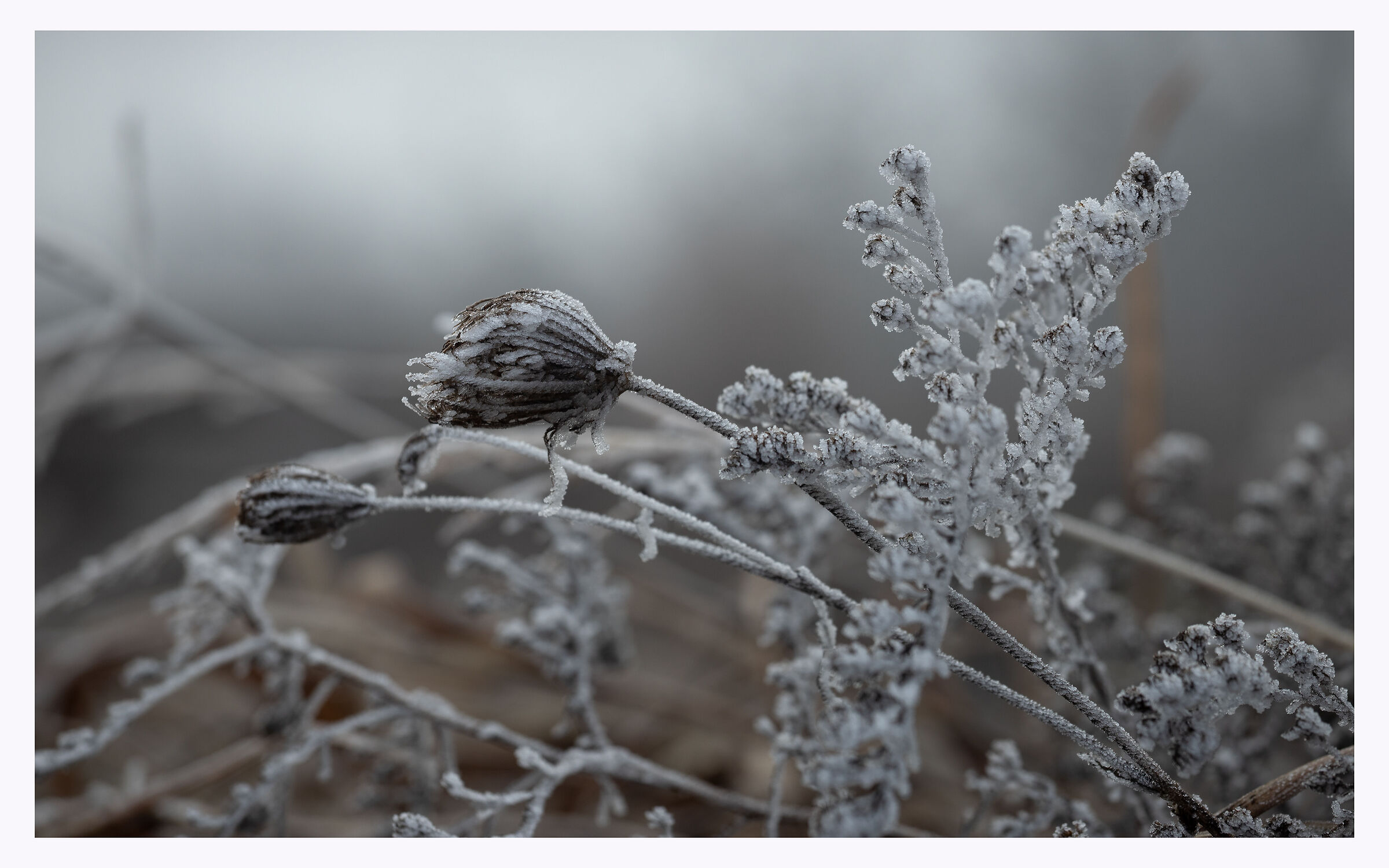 Winter Views