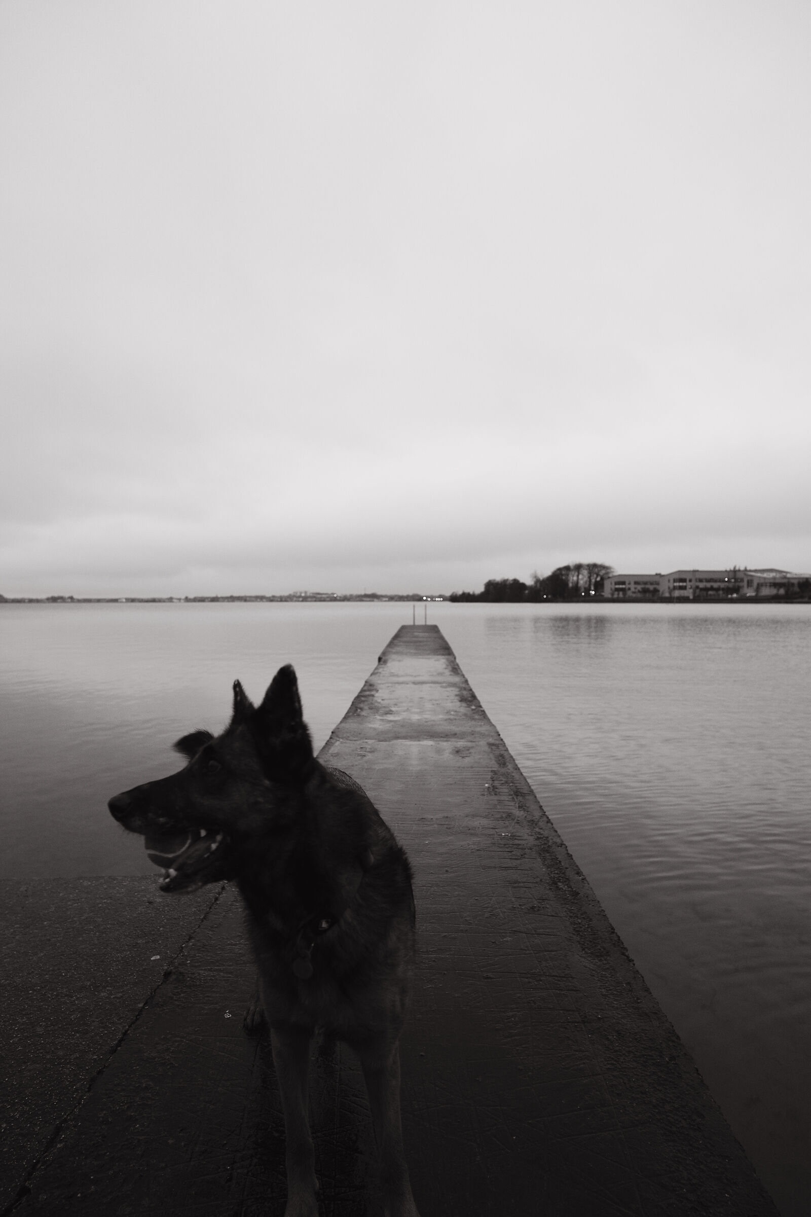 Lough Rea Lake & Karma