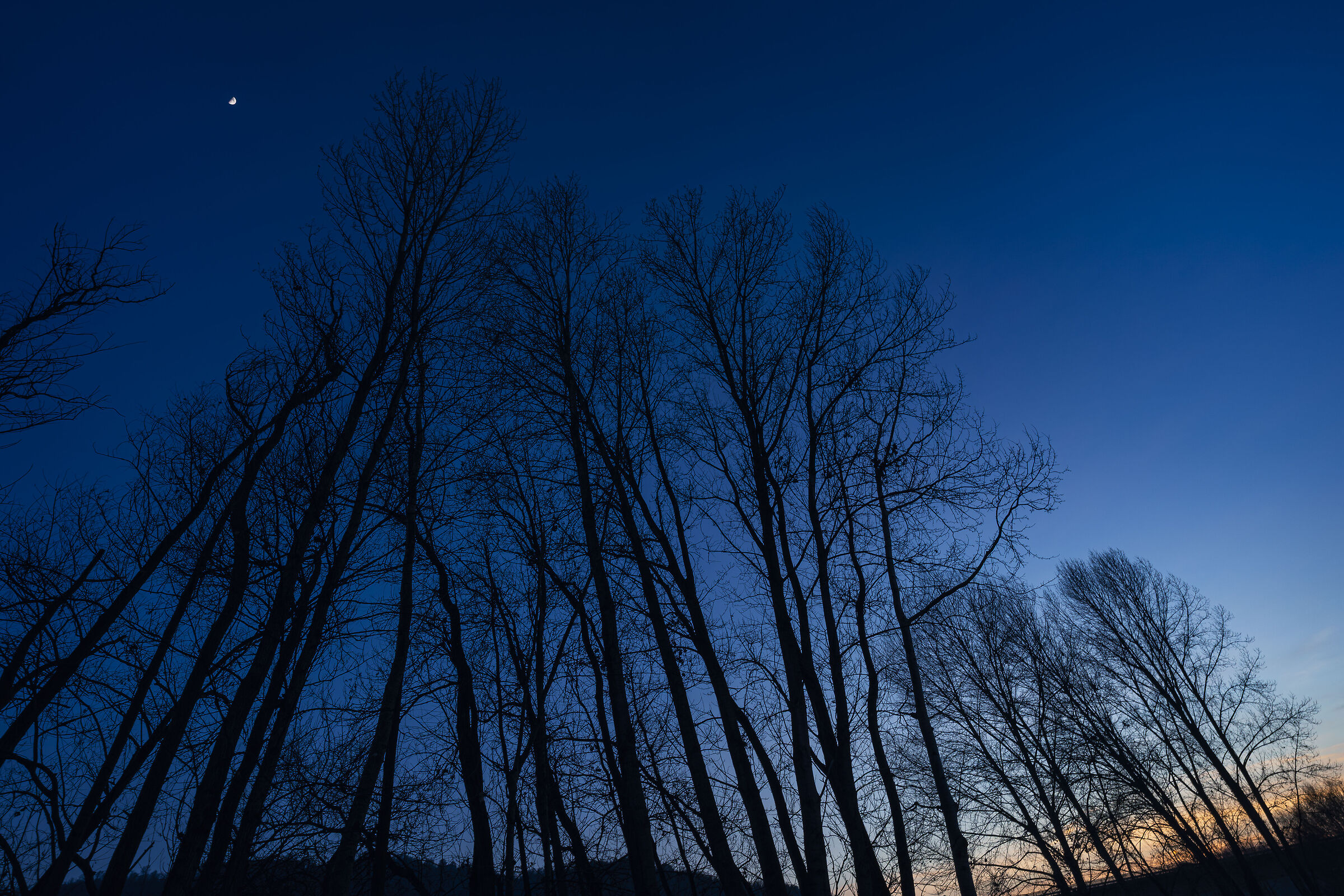 Under the winter moon