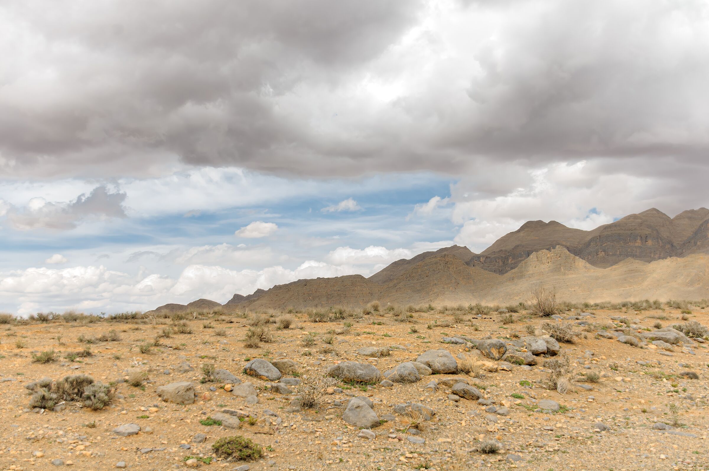 IRAN-arak-haftaad gholleh