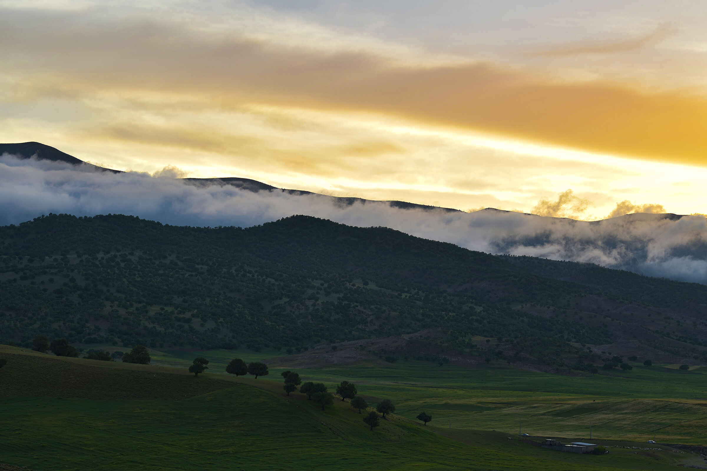 IRAN-ilam-badreh