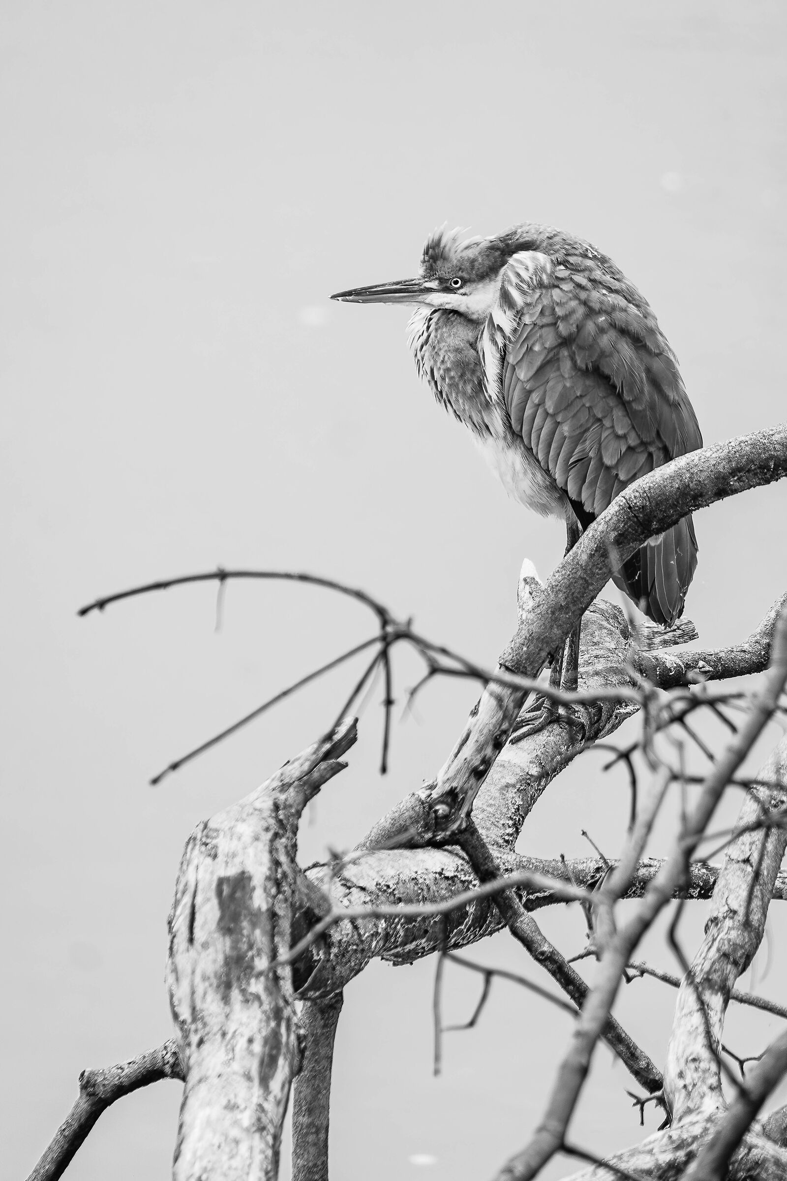 Oggi non è giornata...