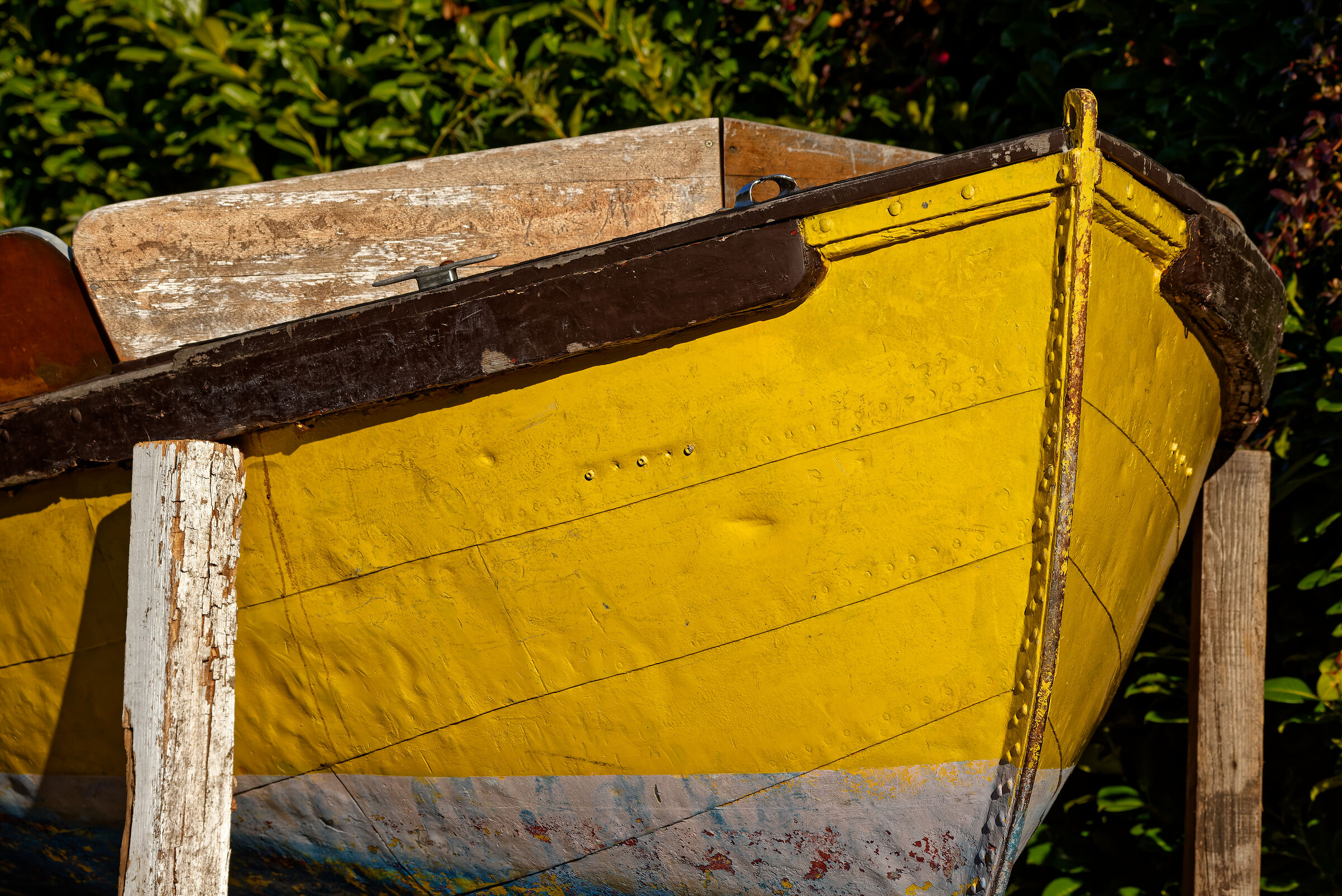 The Yellow Boat