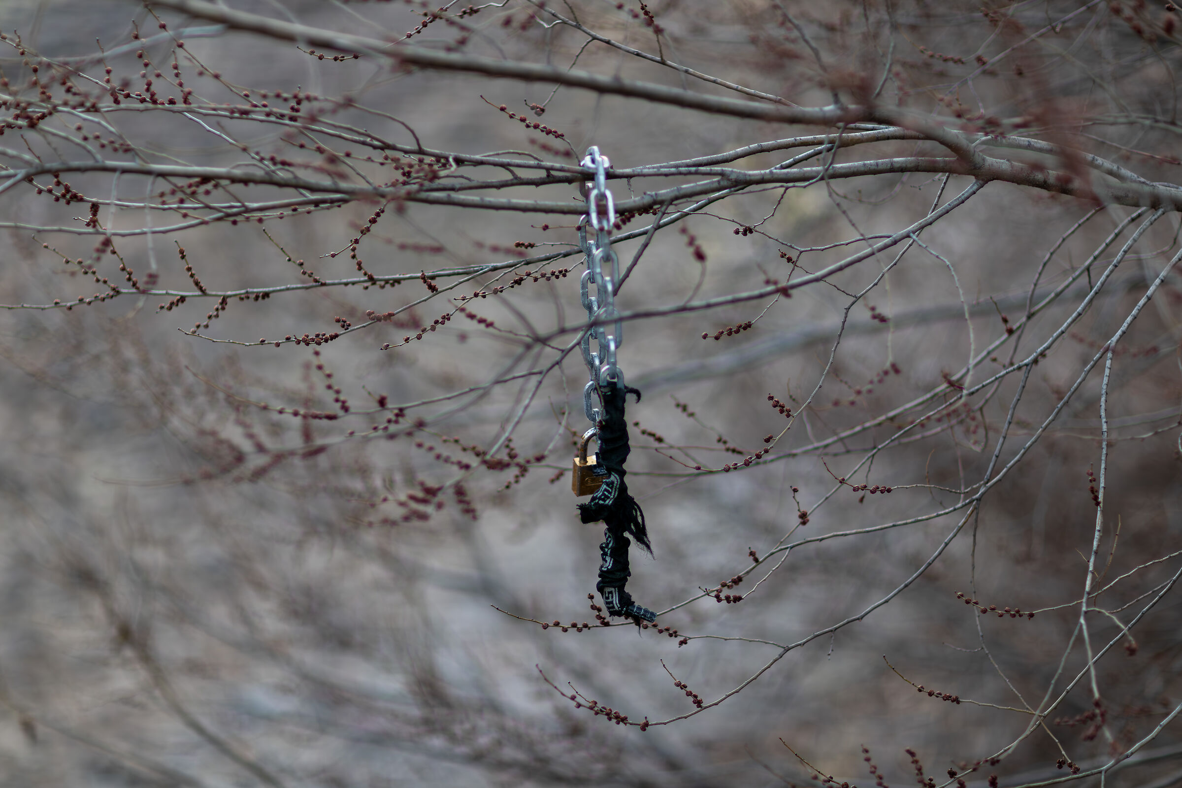 Broken chains