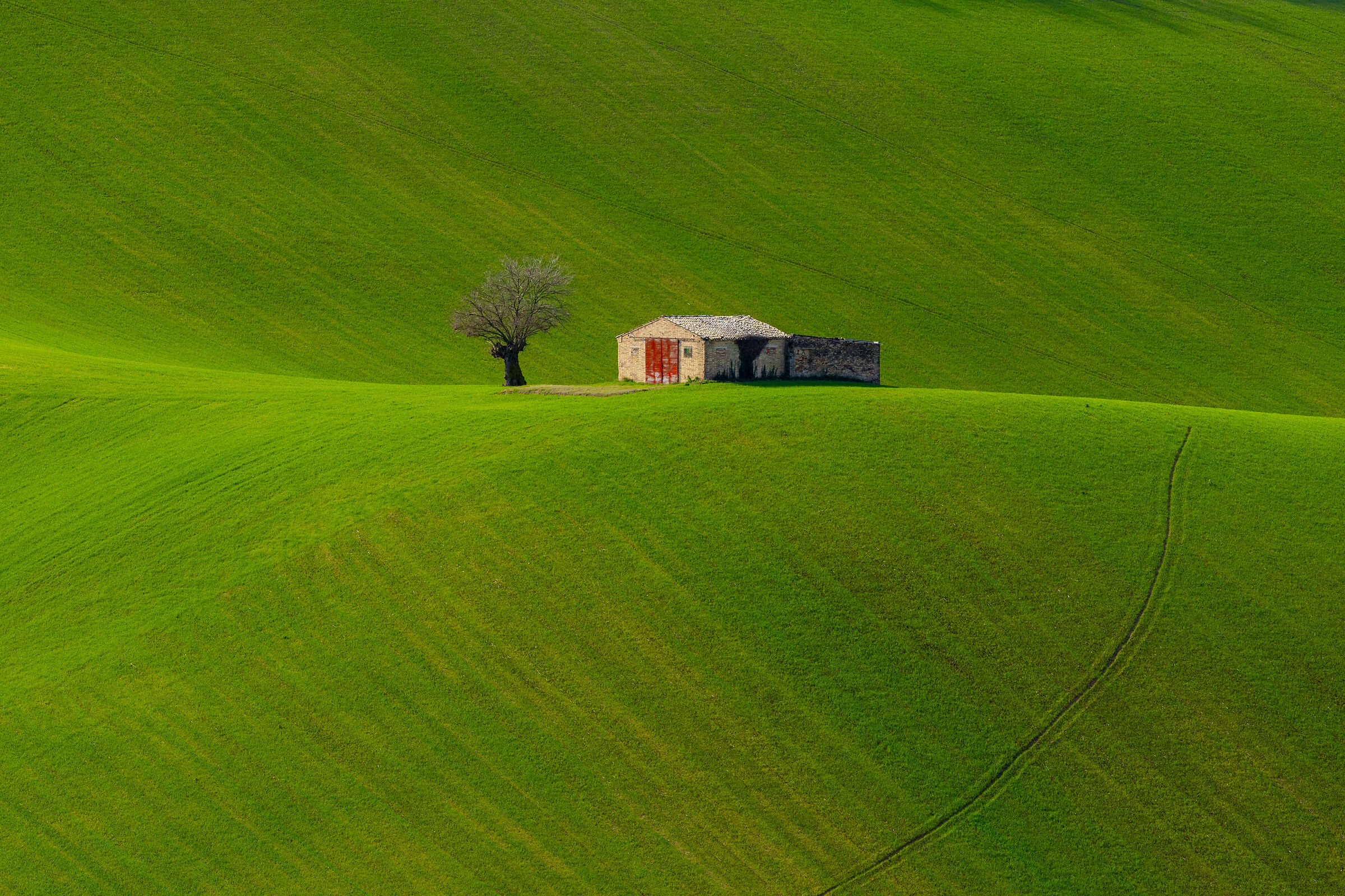 E ritorna l'estate