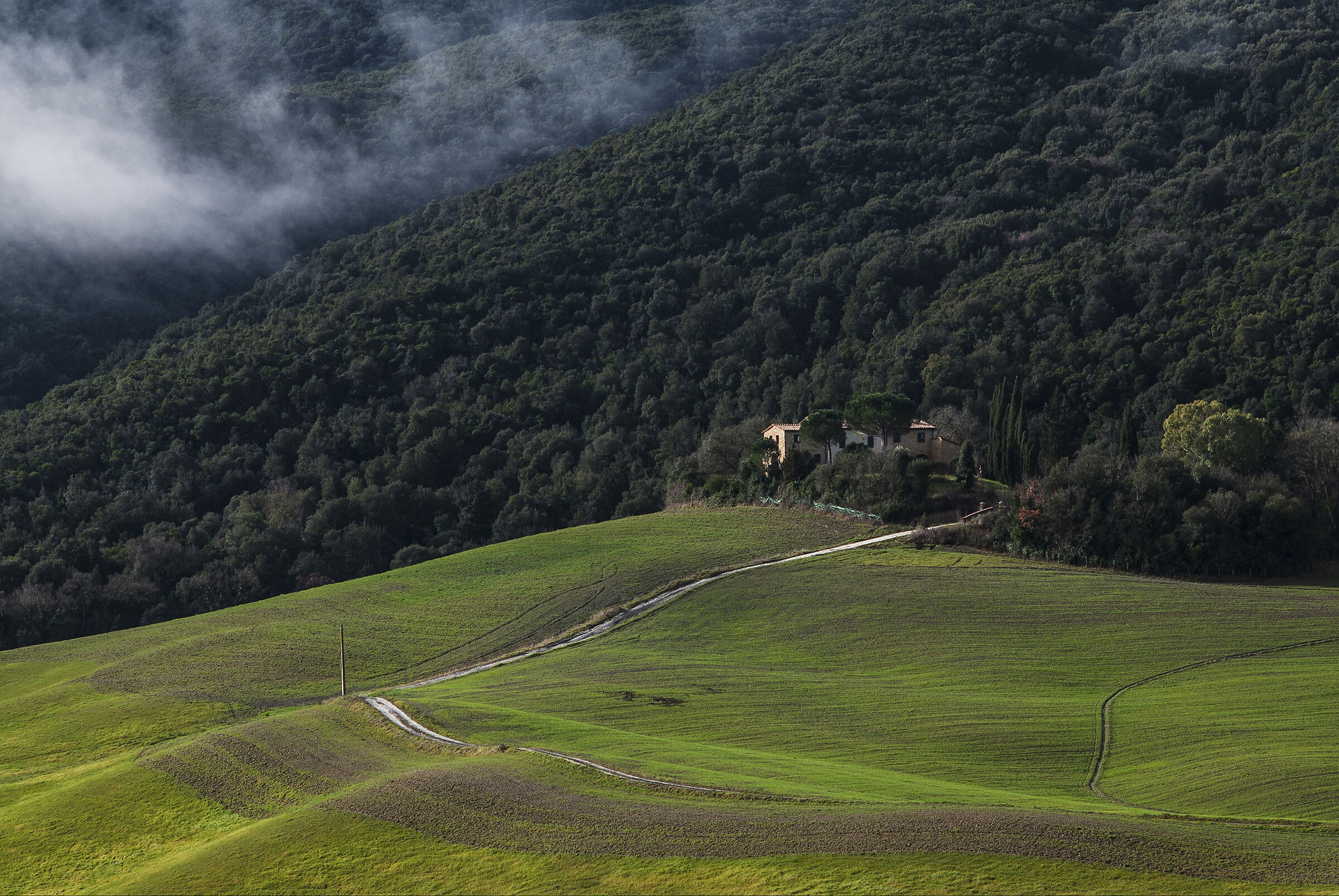 The infamous CCD (D200 + 105 Ais)