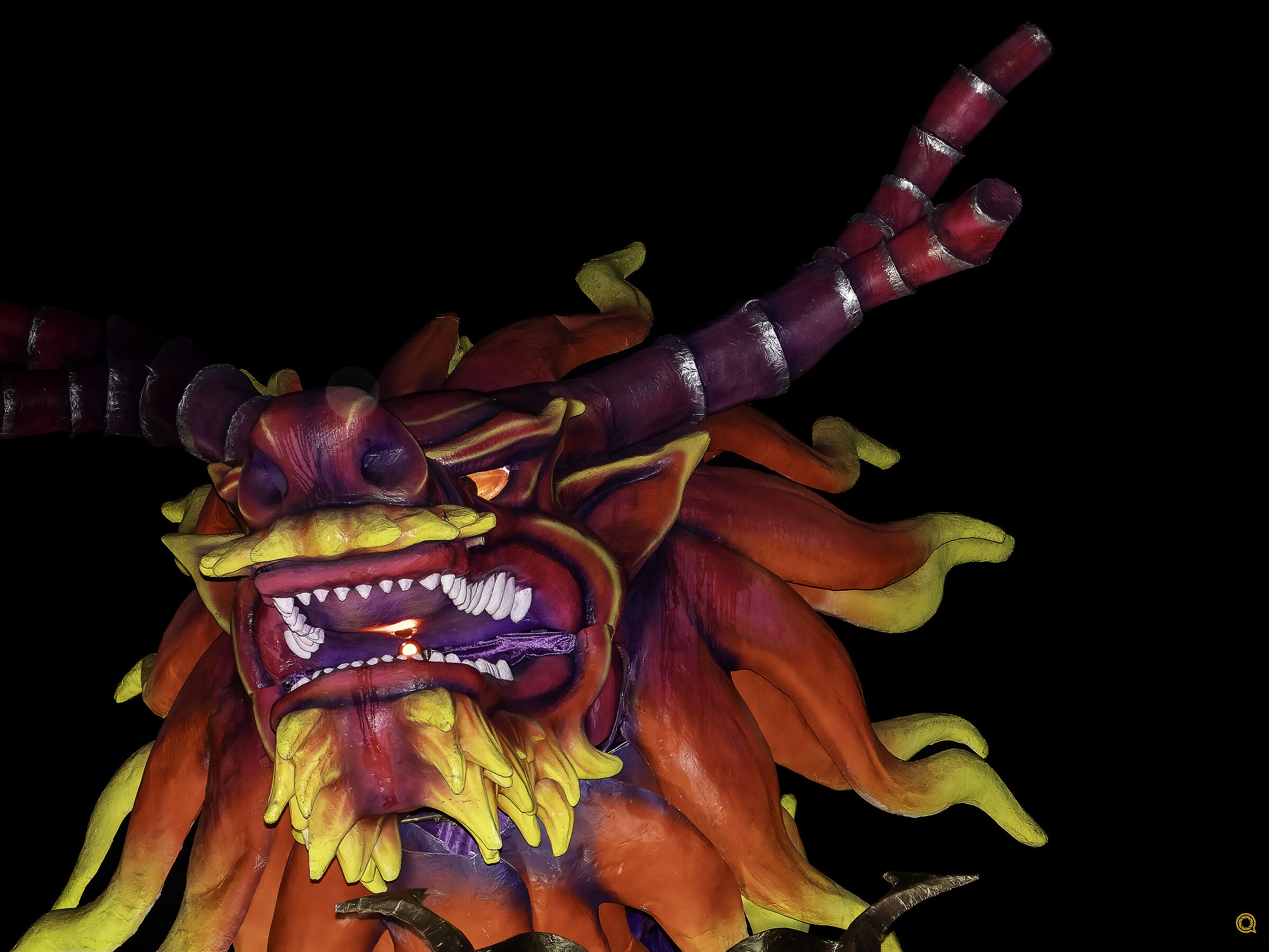 Carnevale Viareggio 2026 - Primi piani