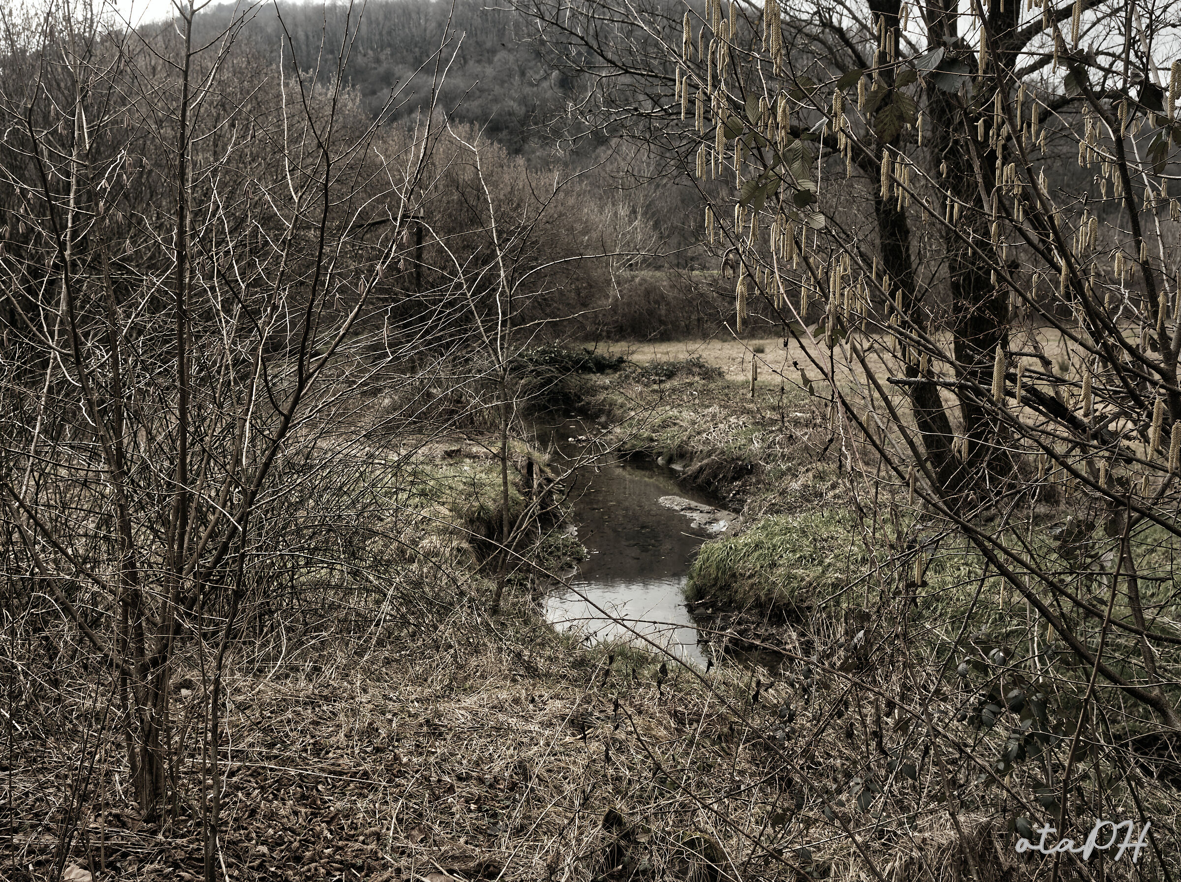 Ruscello