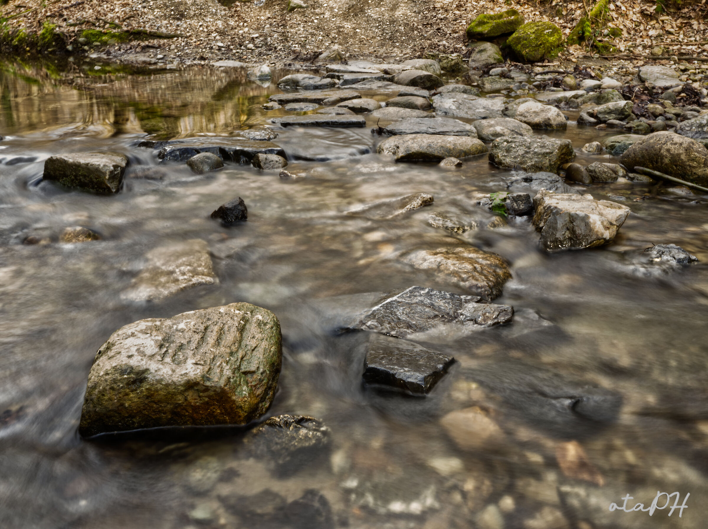 Acqua