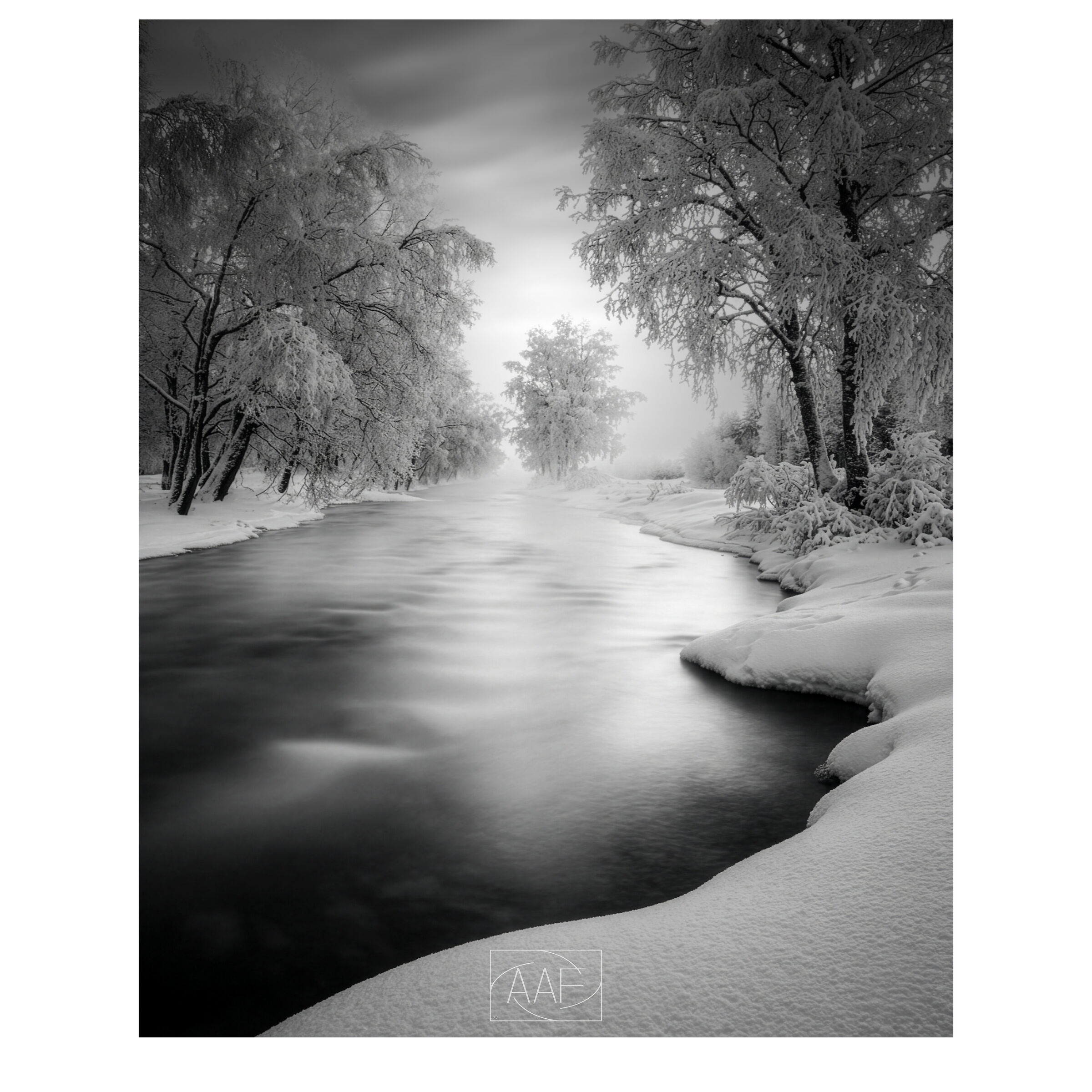 Fiume Brenta, Febbraio 2015