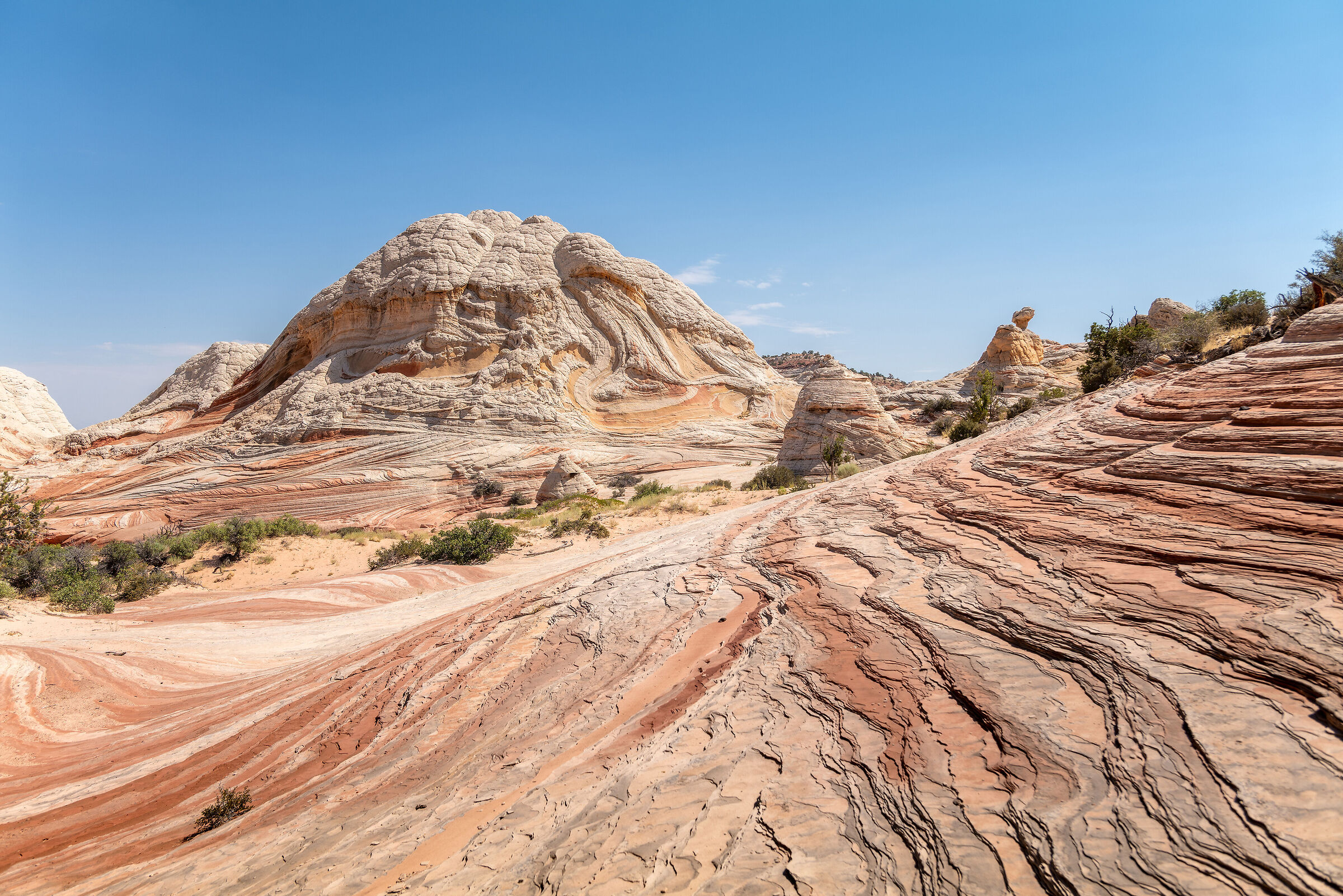 White Pocket... un paradiso a colori