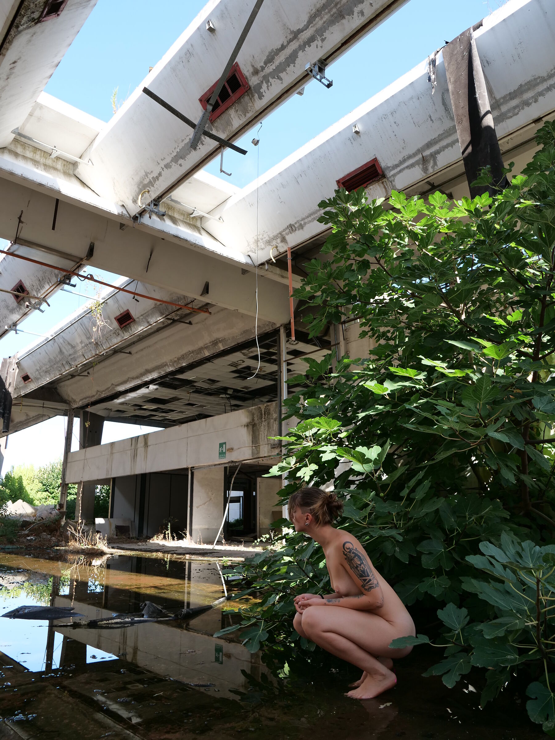 Gaia x anima23 pic 5