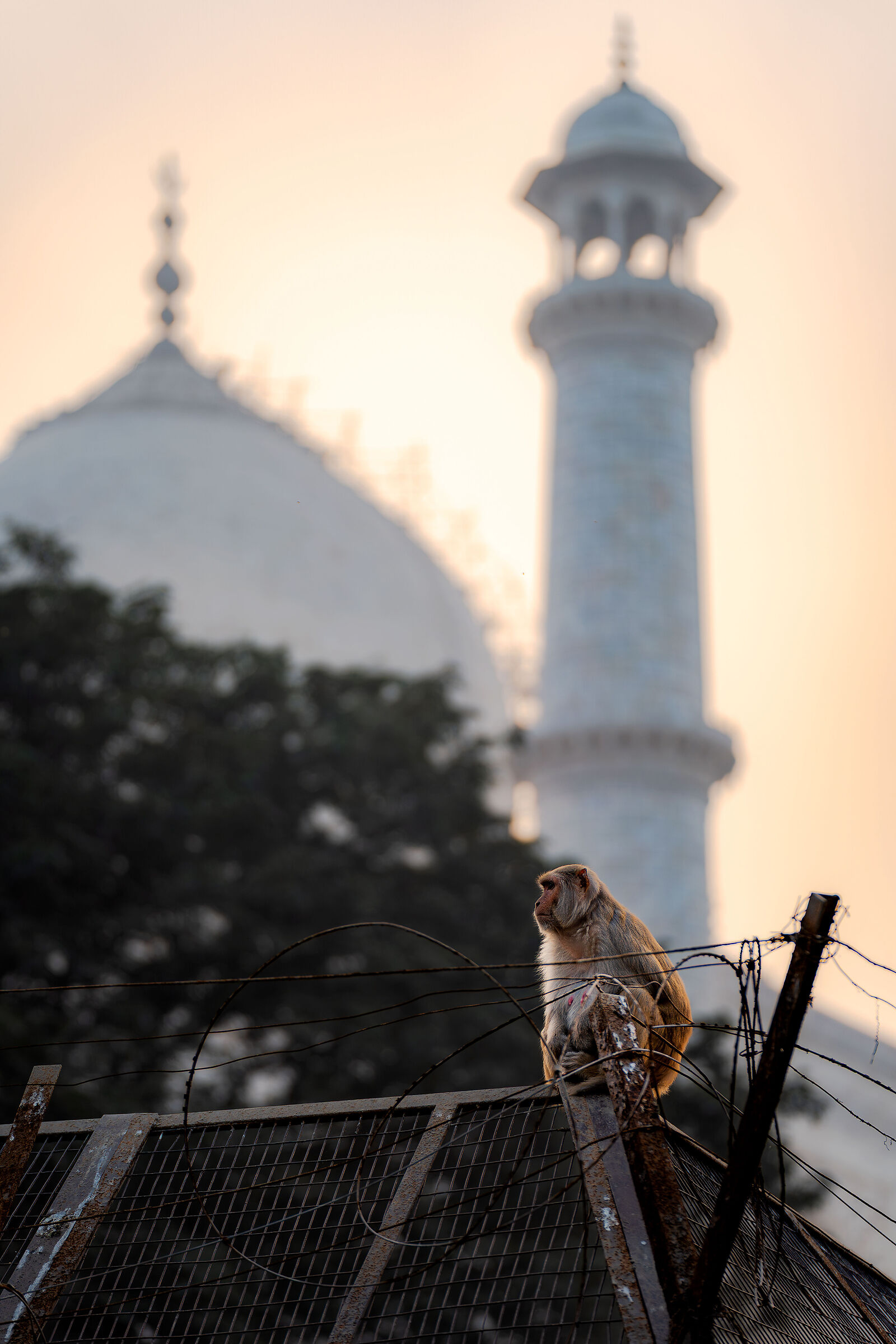 Enjoying the sunset