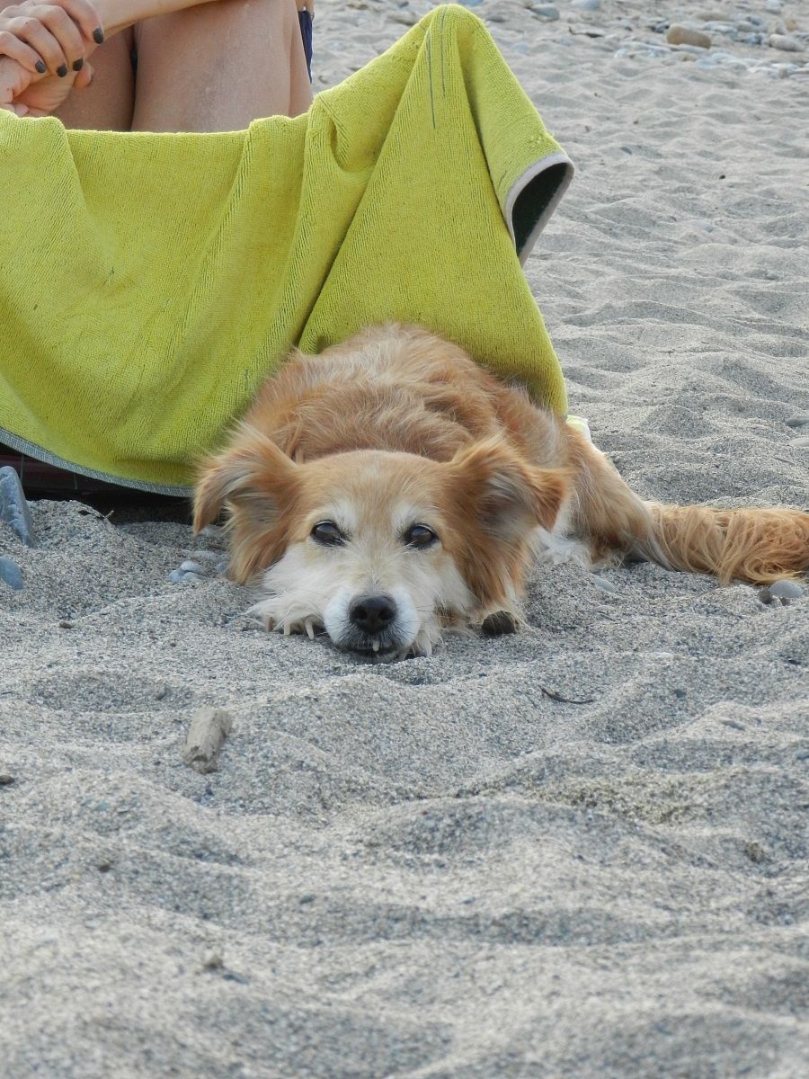 I always quieter this year ...