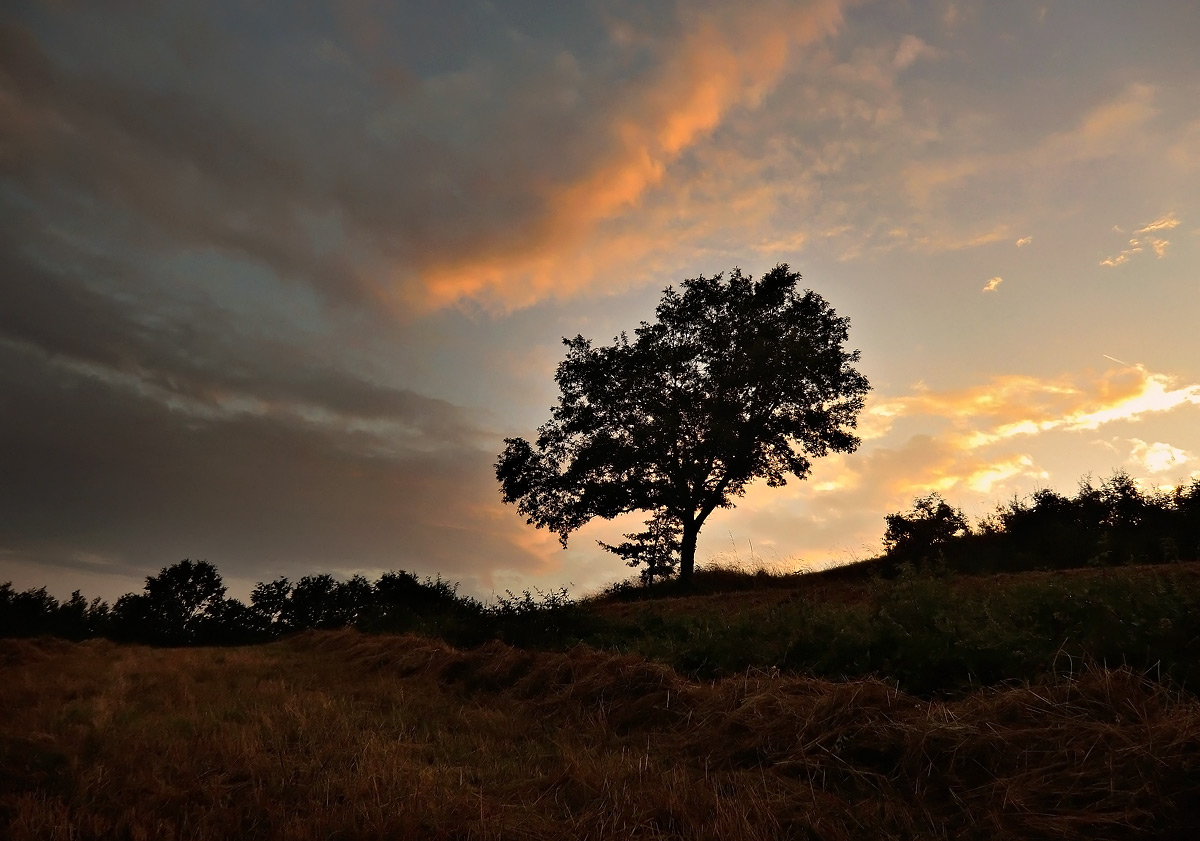 tramonto a Sambuceto