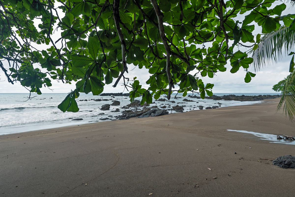 Corcovado NP, Costa Rica