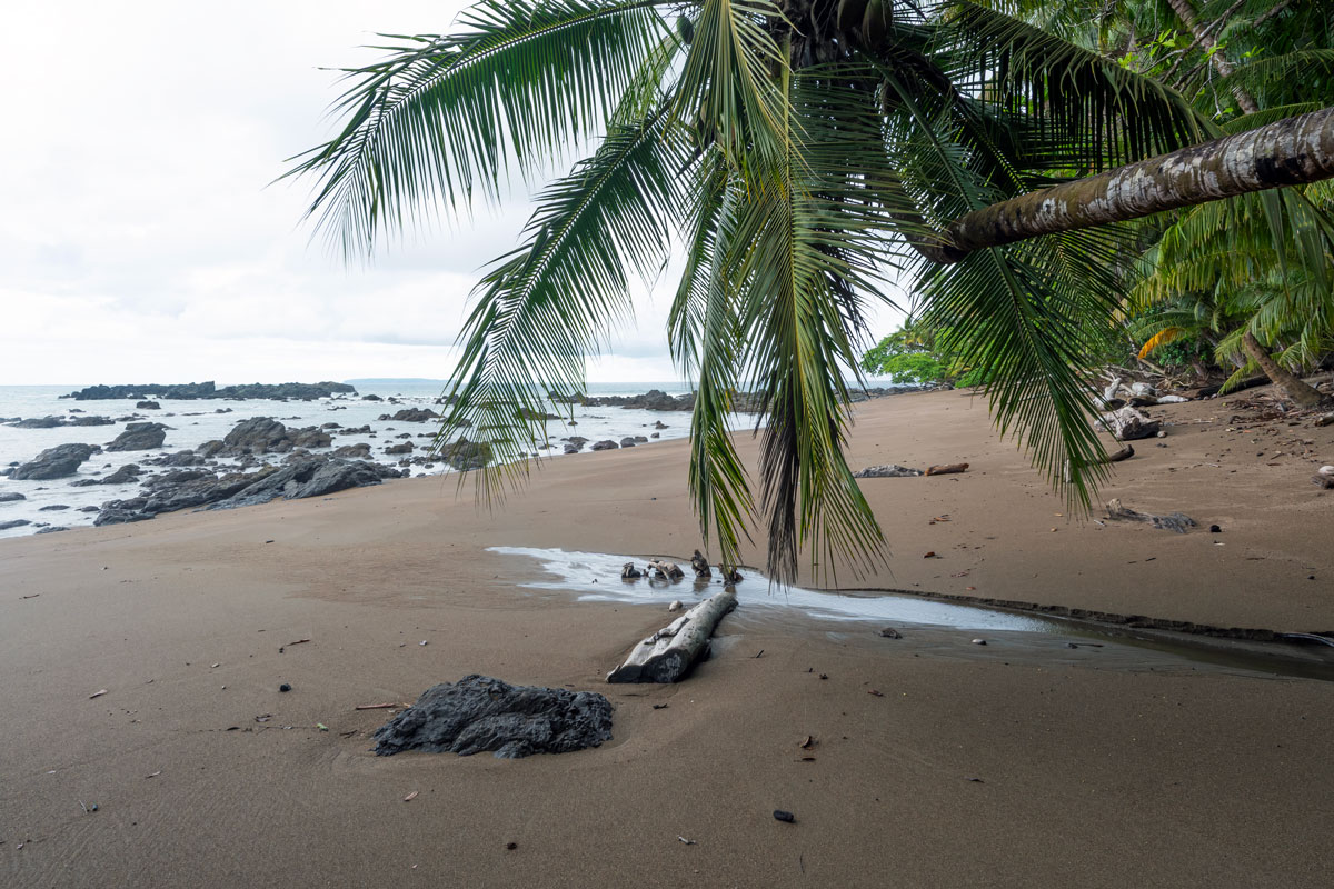 Corcovado NP, Costa Rica