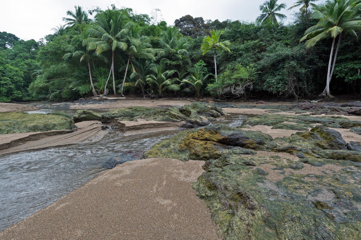 Corcovado NP, Costa Rica