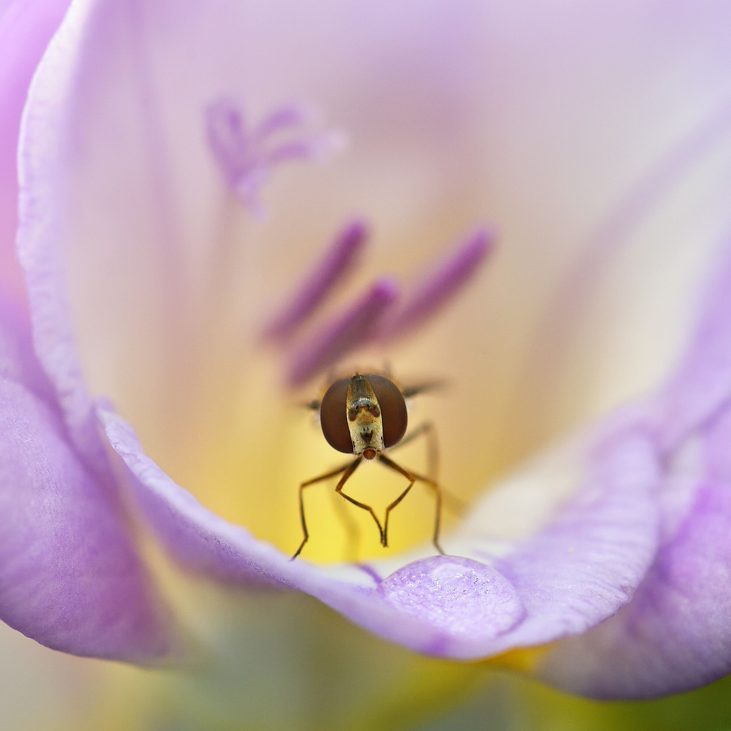 Al riparo dalla pioggia