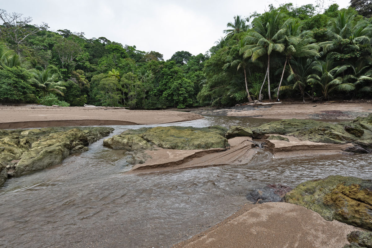 Corcovado NP, Costa Rica