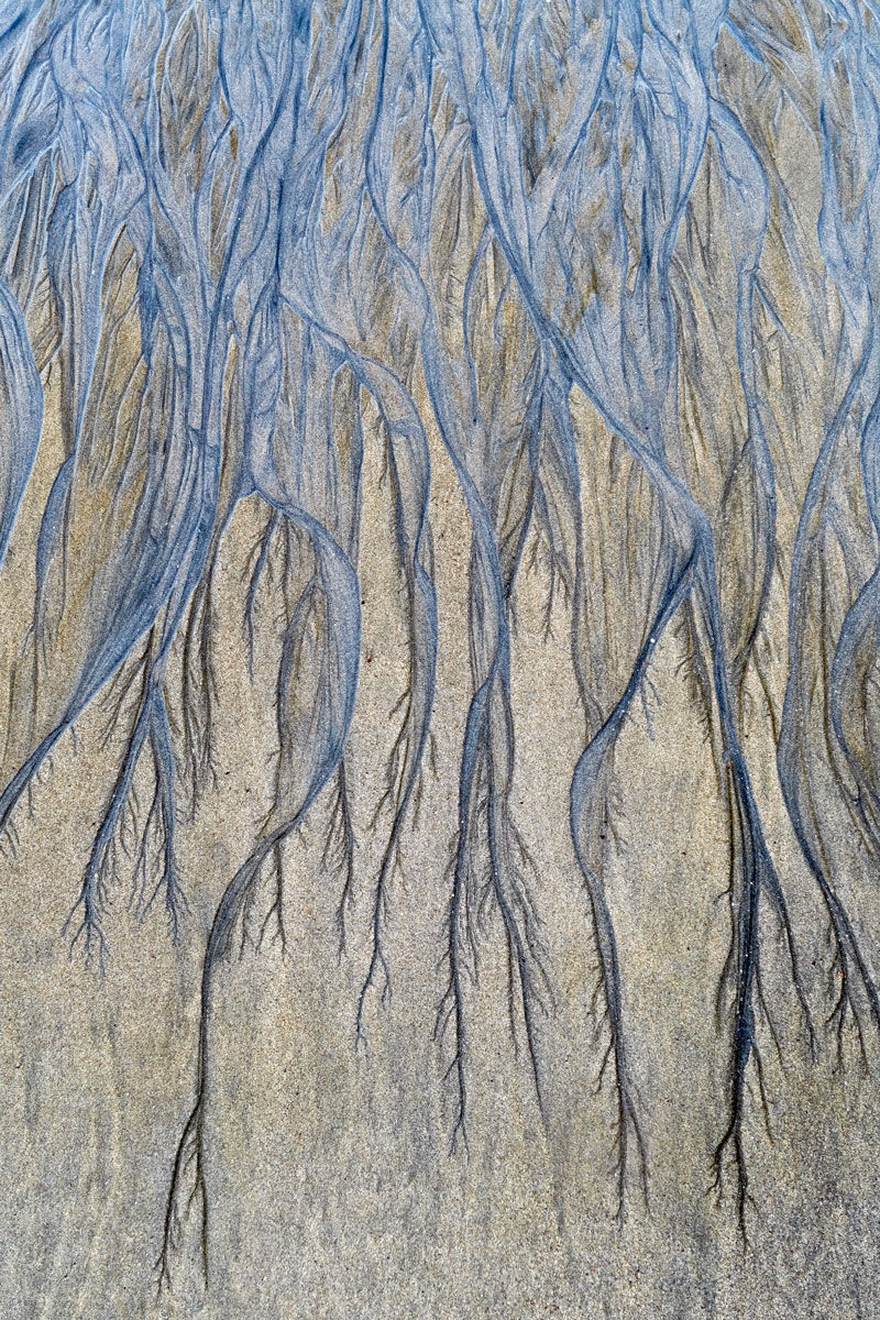 Corcovado NP, Costa Rica