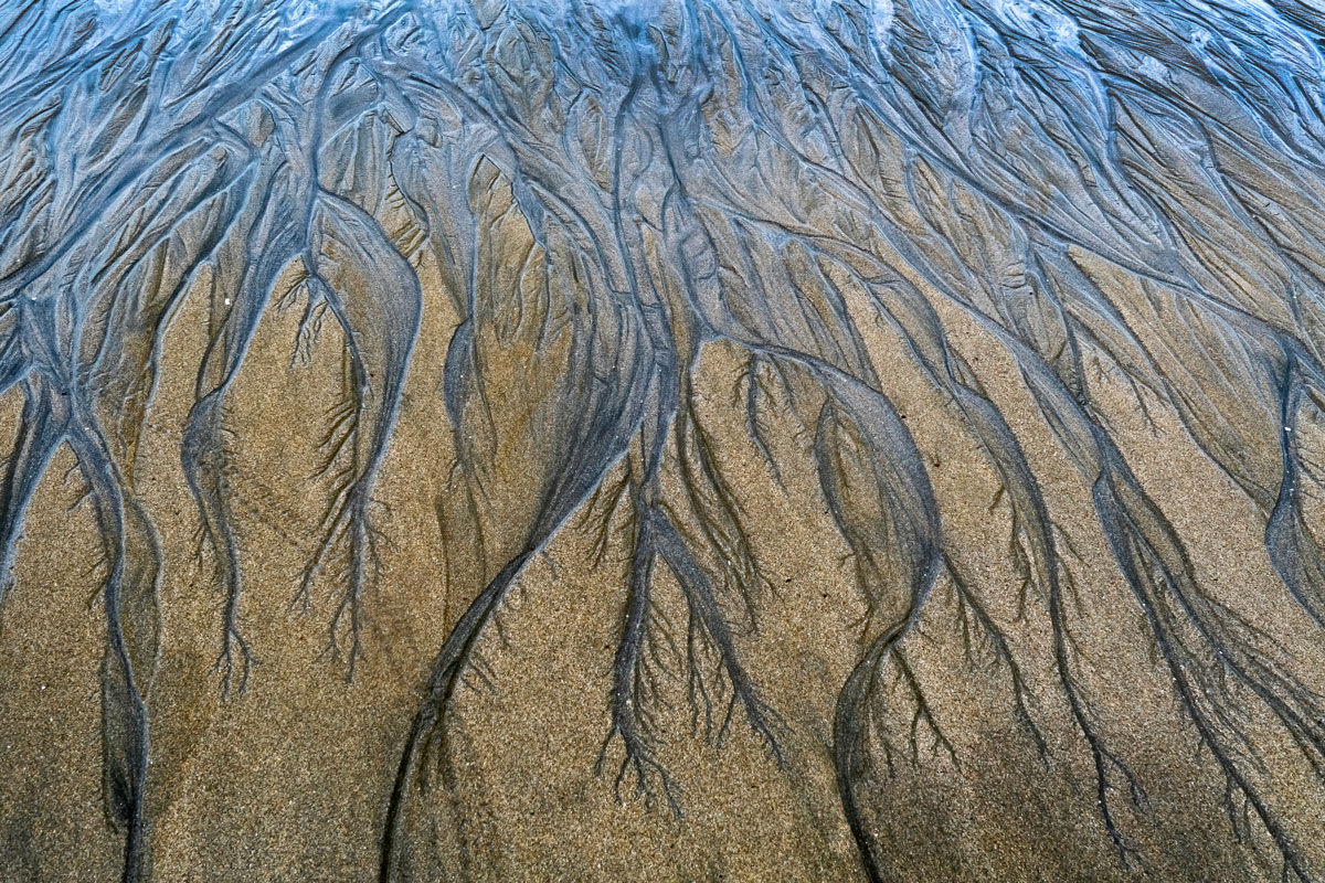 Corcovado NP, Costa Rica