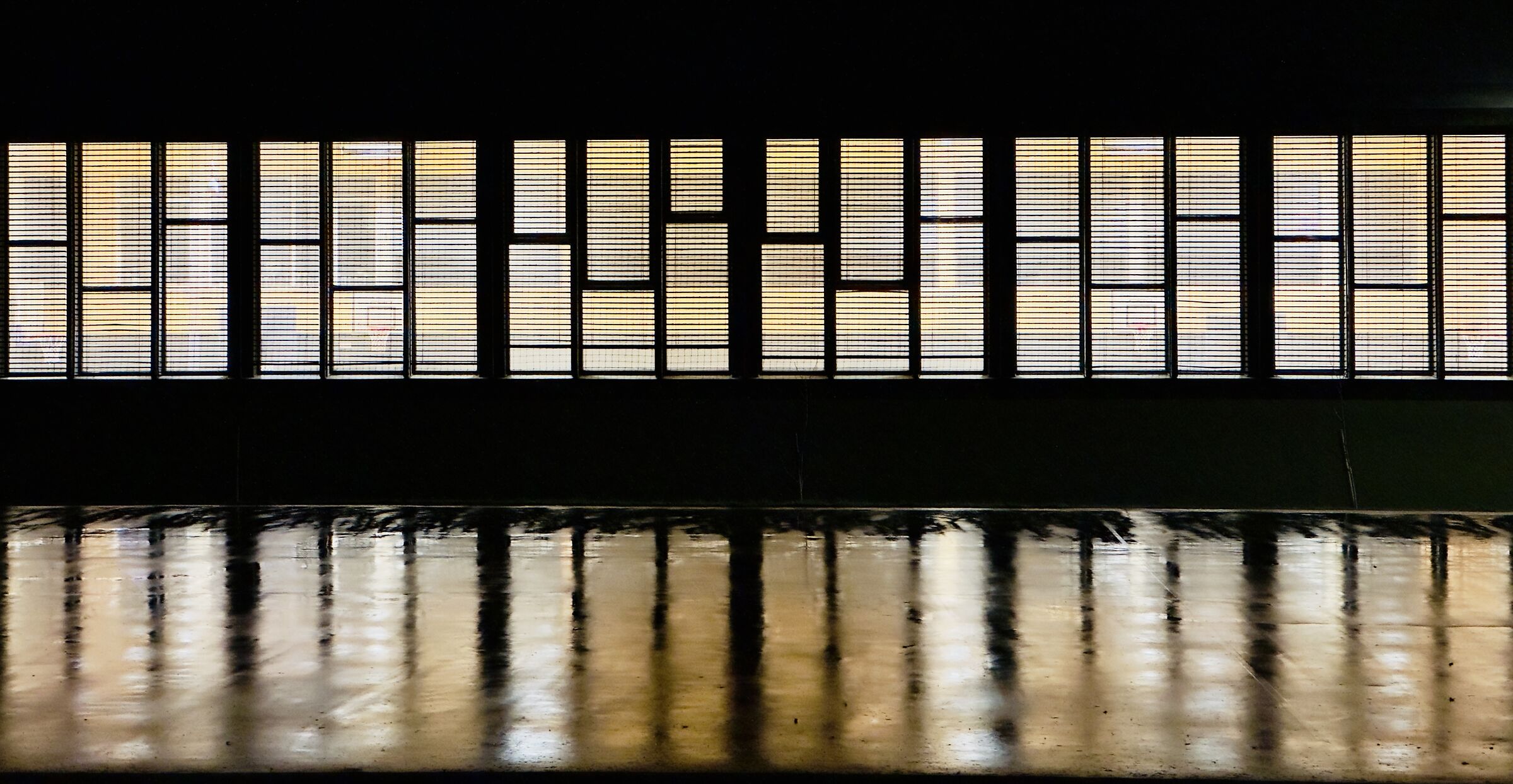 Golden reflections...