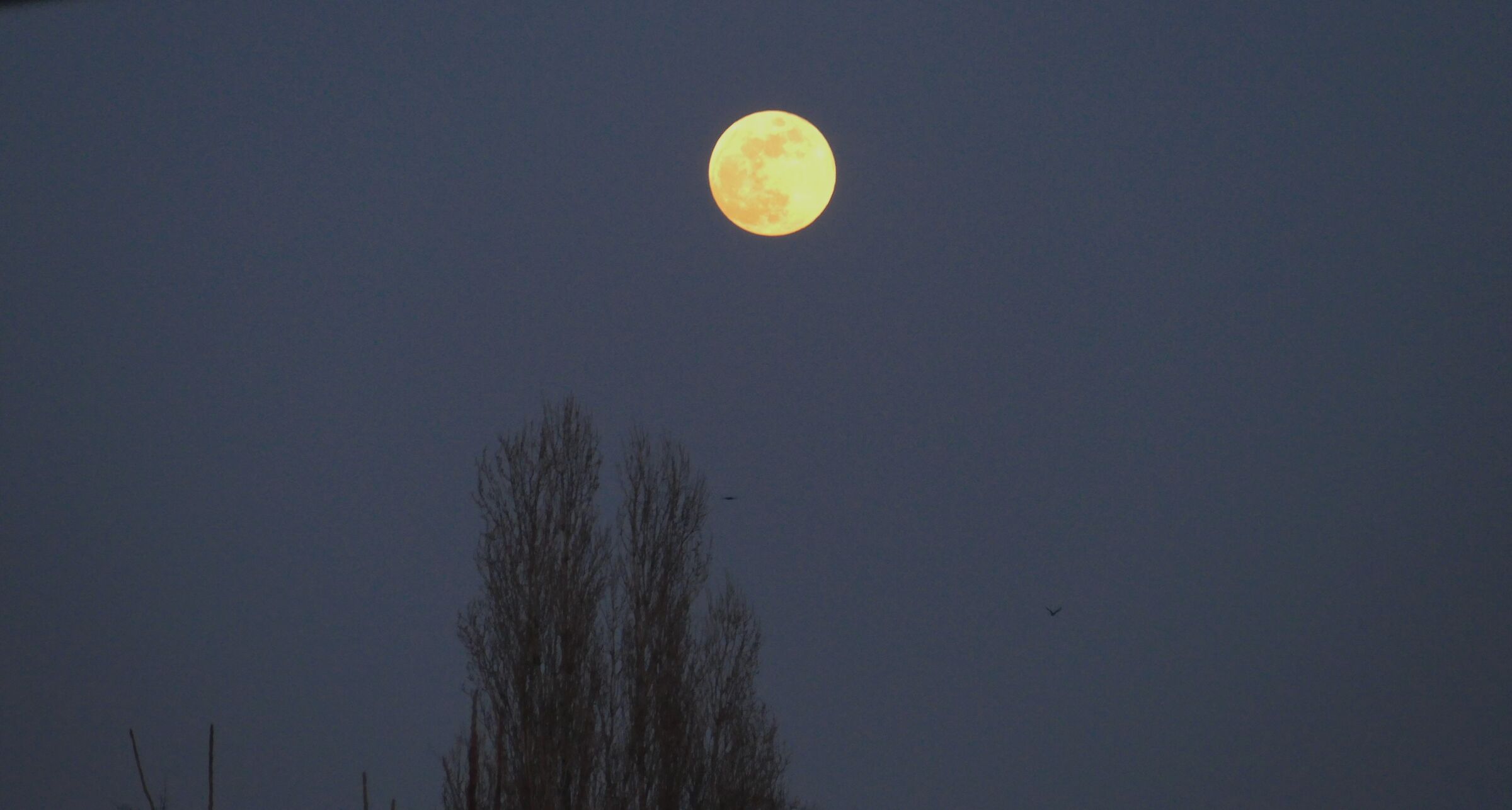 Full Moon
