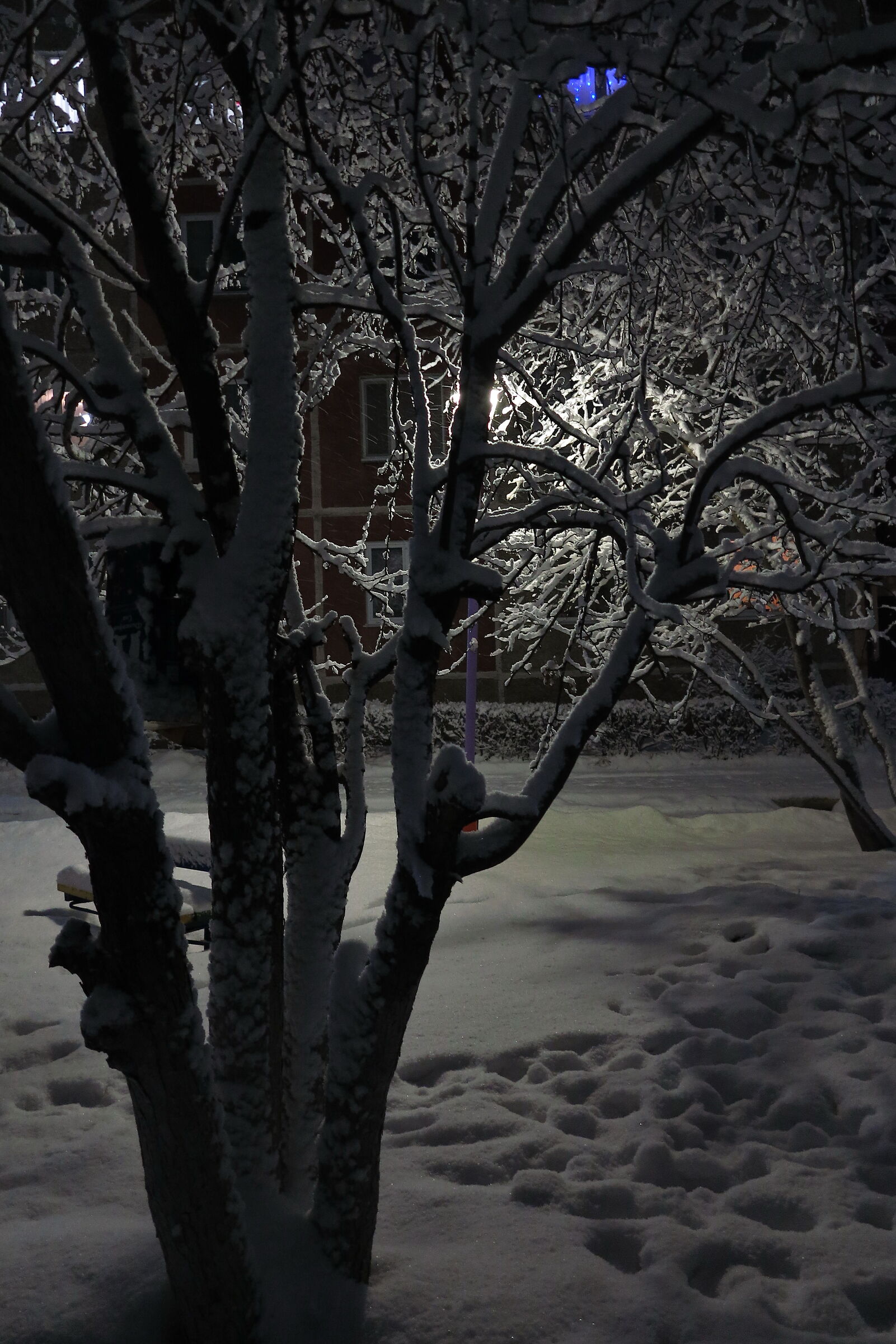 Inverno, notte...