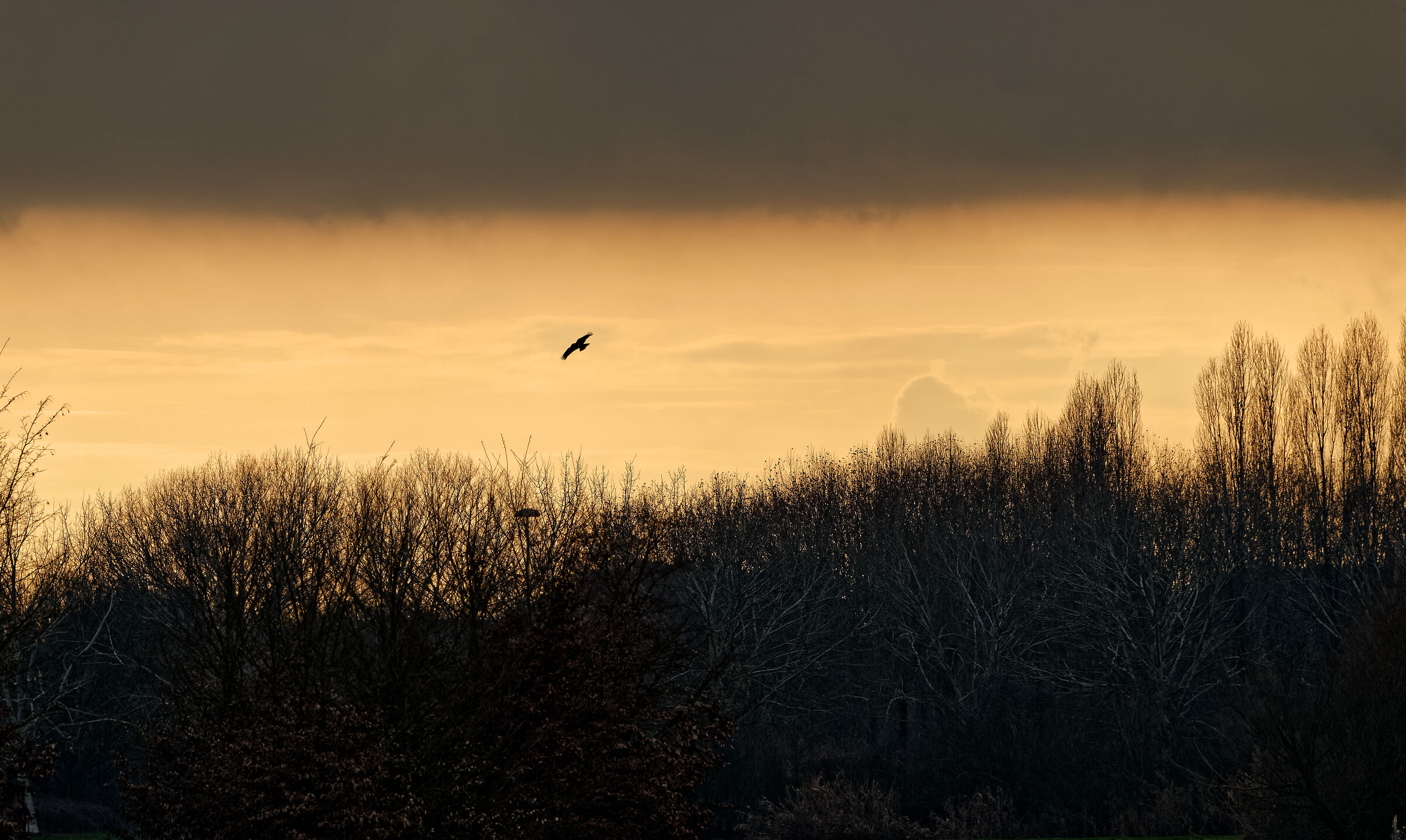 Parco Nord Milano, 2026